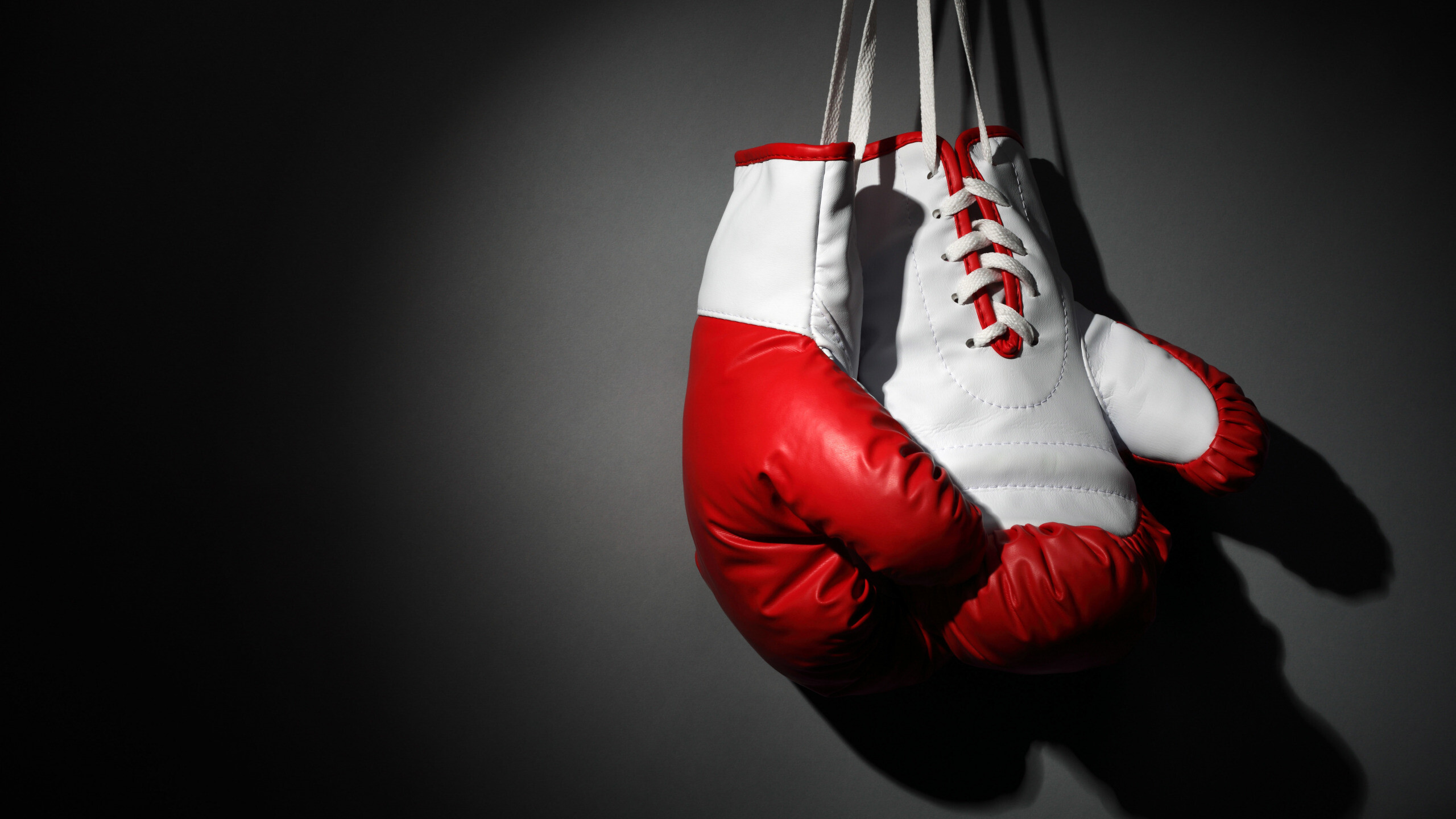 Boxing, Boxing martial art, Boxing gloves, Gray background, 2560x1440 HD Desktop