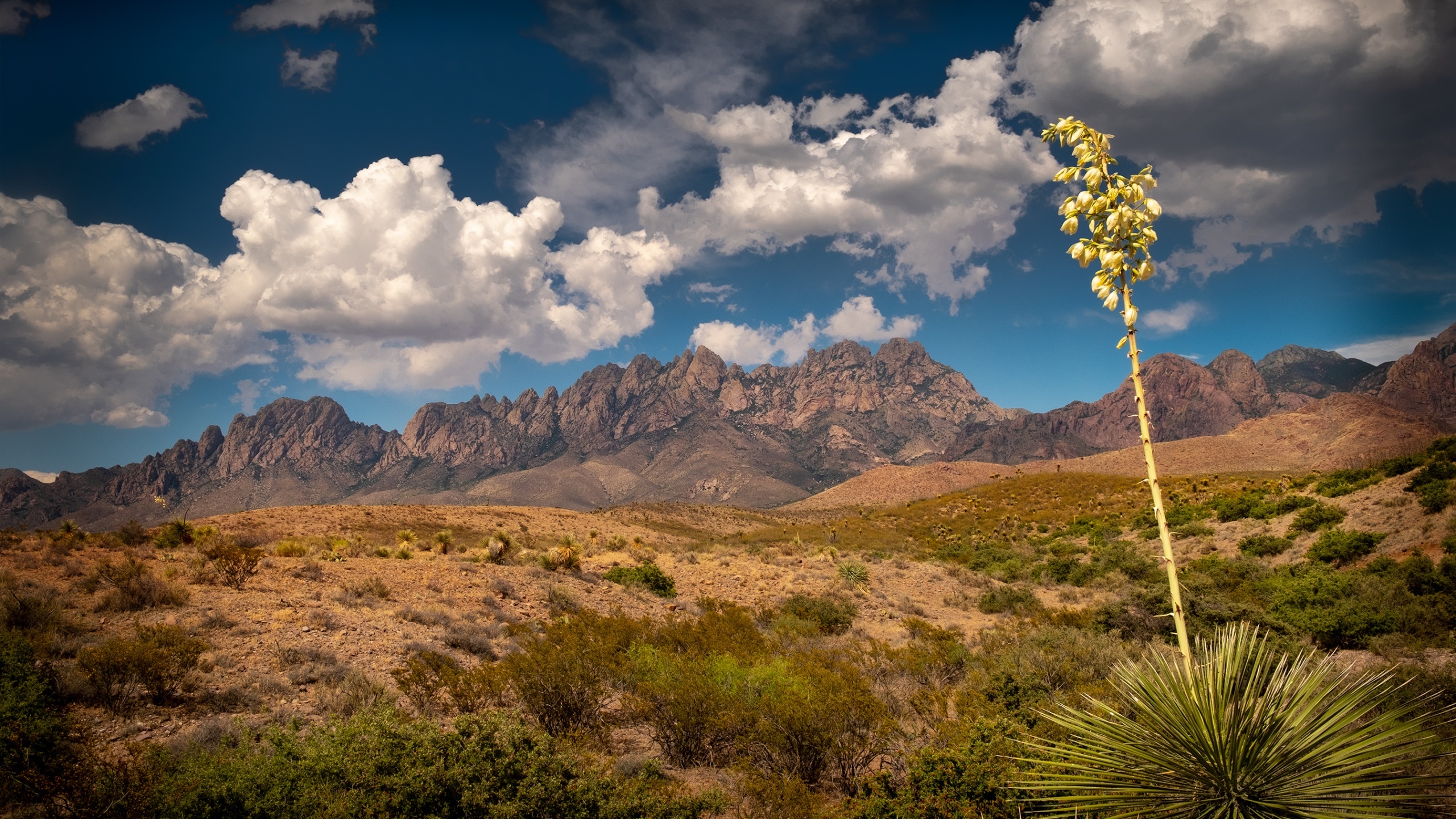 USA New Mexico nature wallpaper, Back to nature, Scenic beauty, Desktop background, 2560x1440 HD Desktop