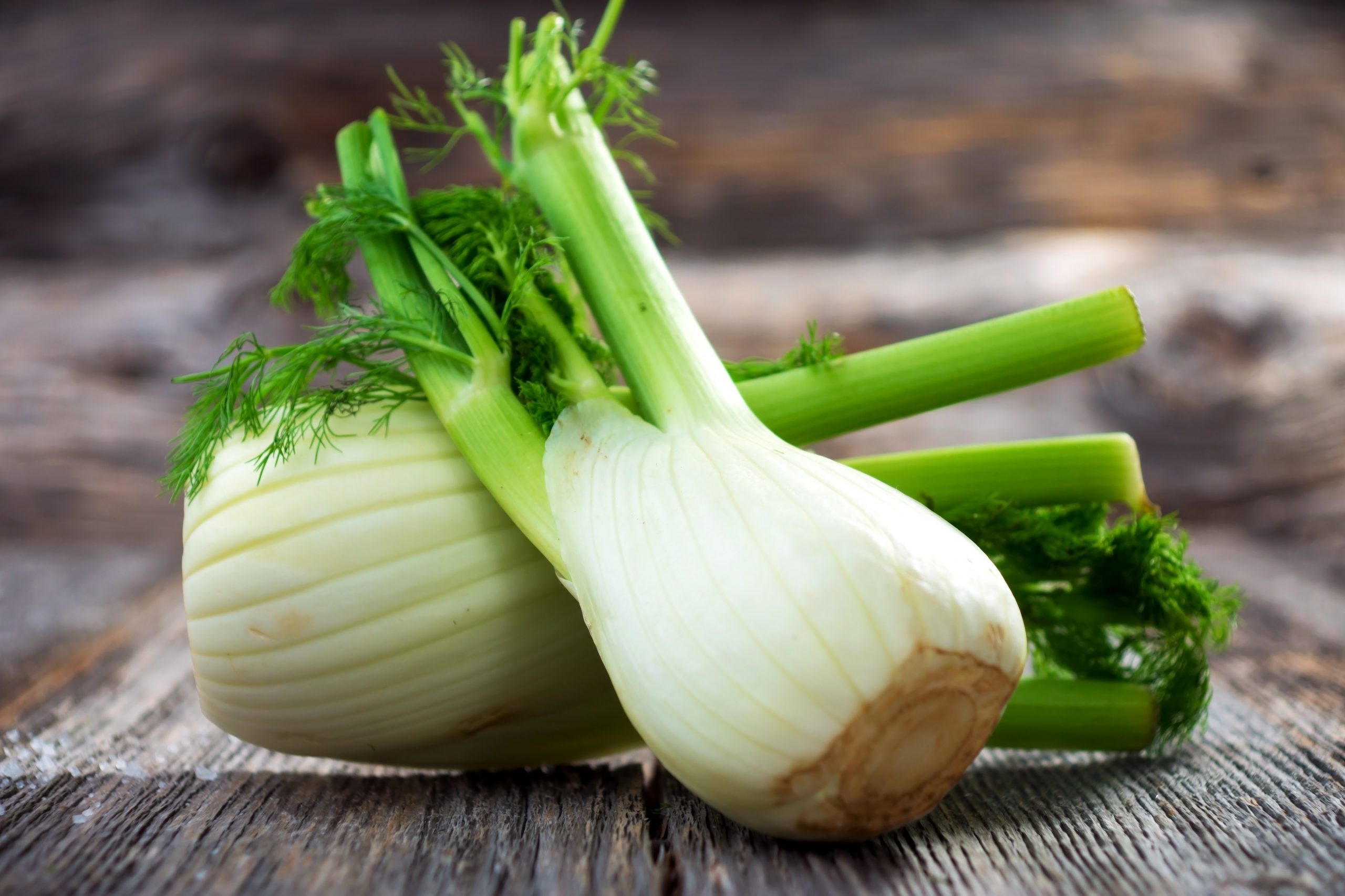 Greek fennel cuisine, Culinary traditions, Medicinal benefits, Ancient spice knowledge, 2560x1710 HD Desktop