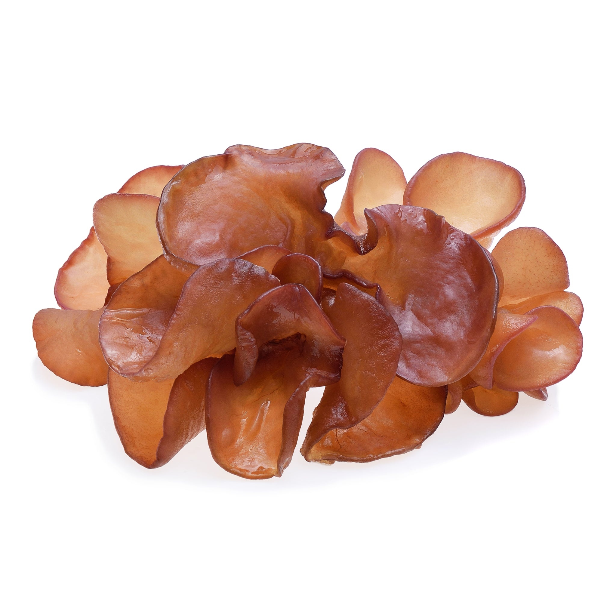 Fresh Thai mushrooms, Imported from Thailand, Authentic Thai cuisine, Thai food online, 2050x2050 HD Phone