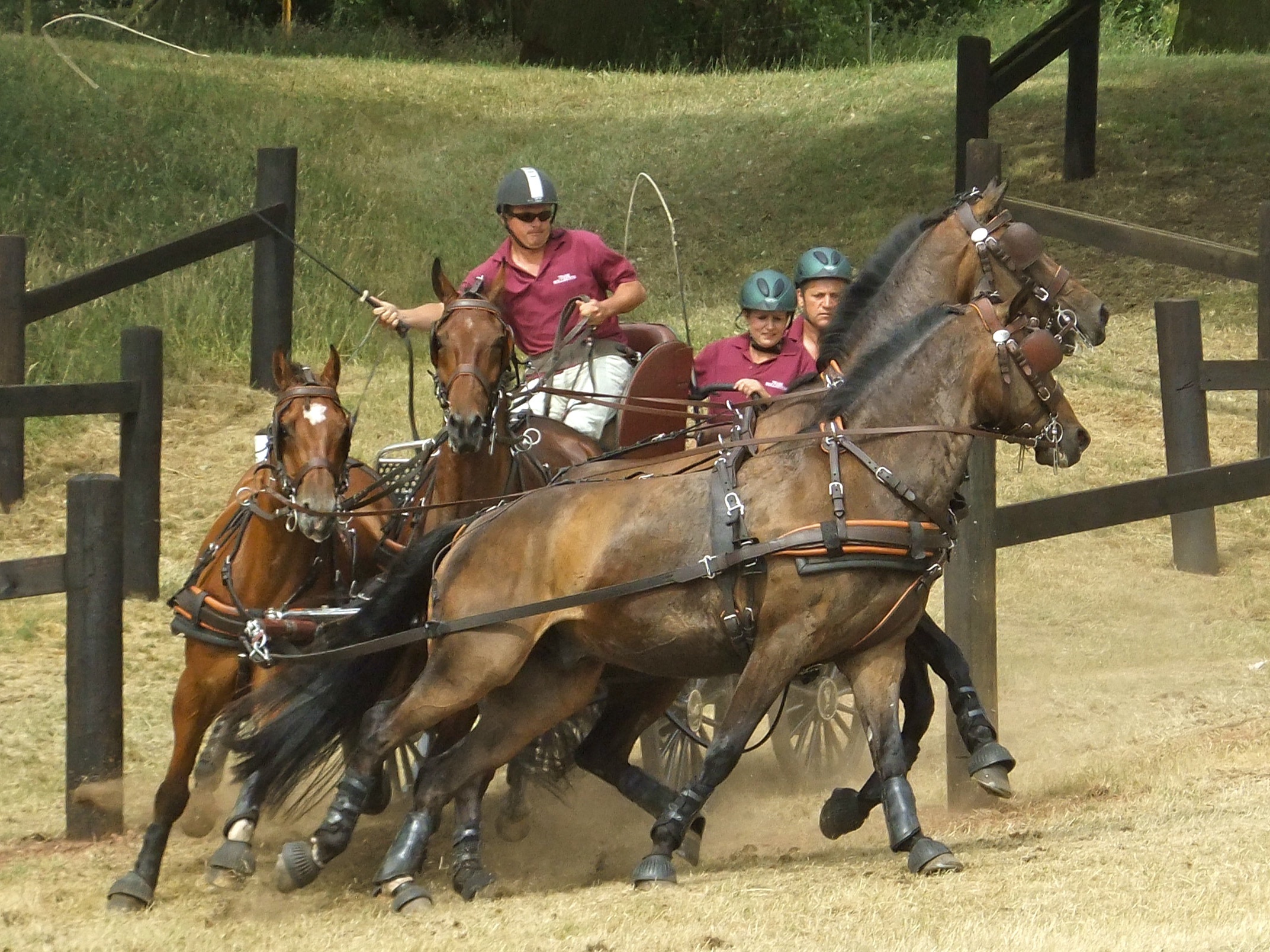 Carriage driving sports, Understanding driving, Wolverley carriage driving, 2150x1610 HD Desktop