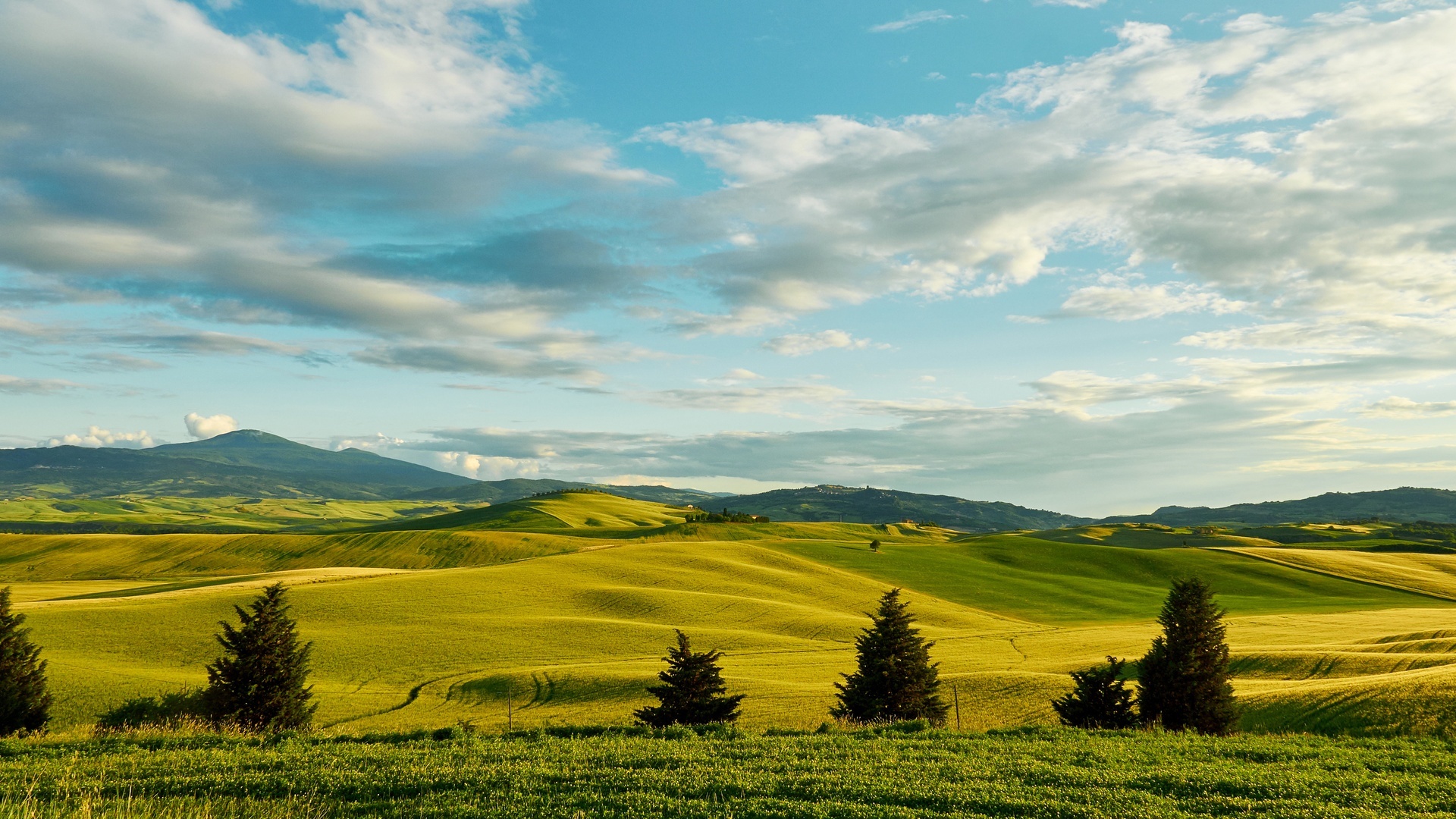 Tuscan rolling hills, evergreen cypress trees, distant mountain ridge, Full HD Desktop wallpaper