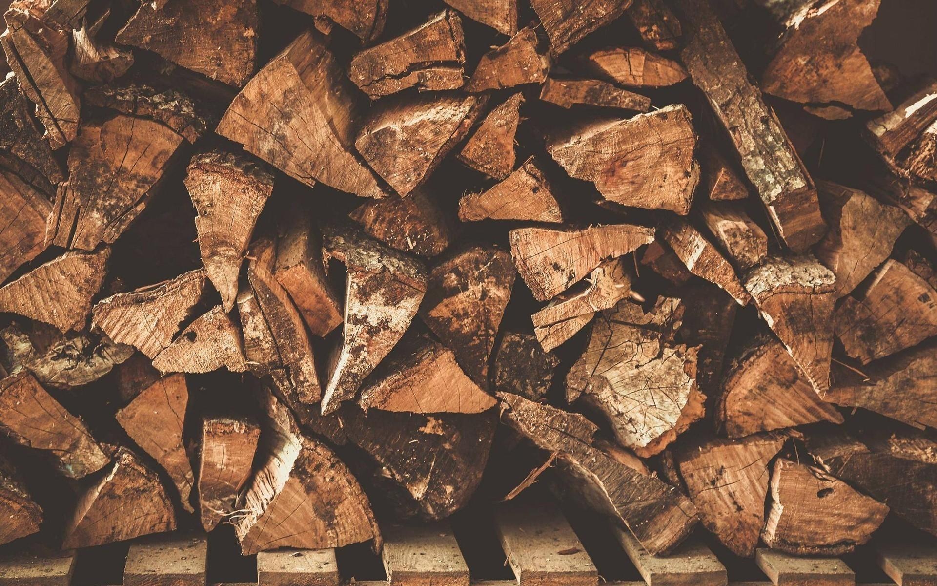 Lumberjack wallpaper, Posted by Zoey Peltier, 1920x1200 HD Desktop