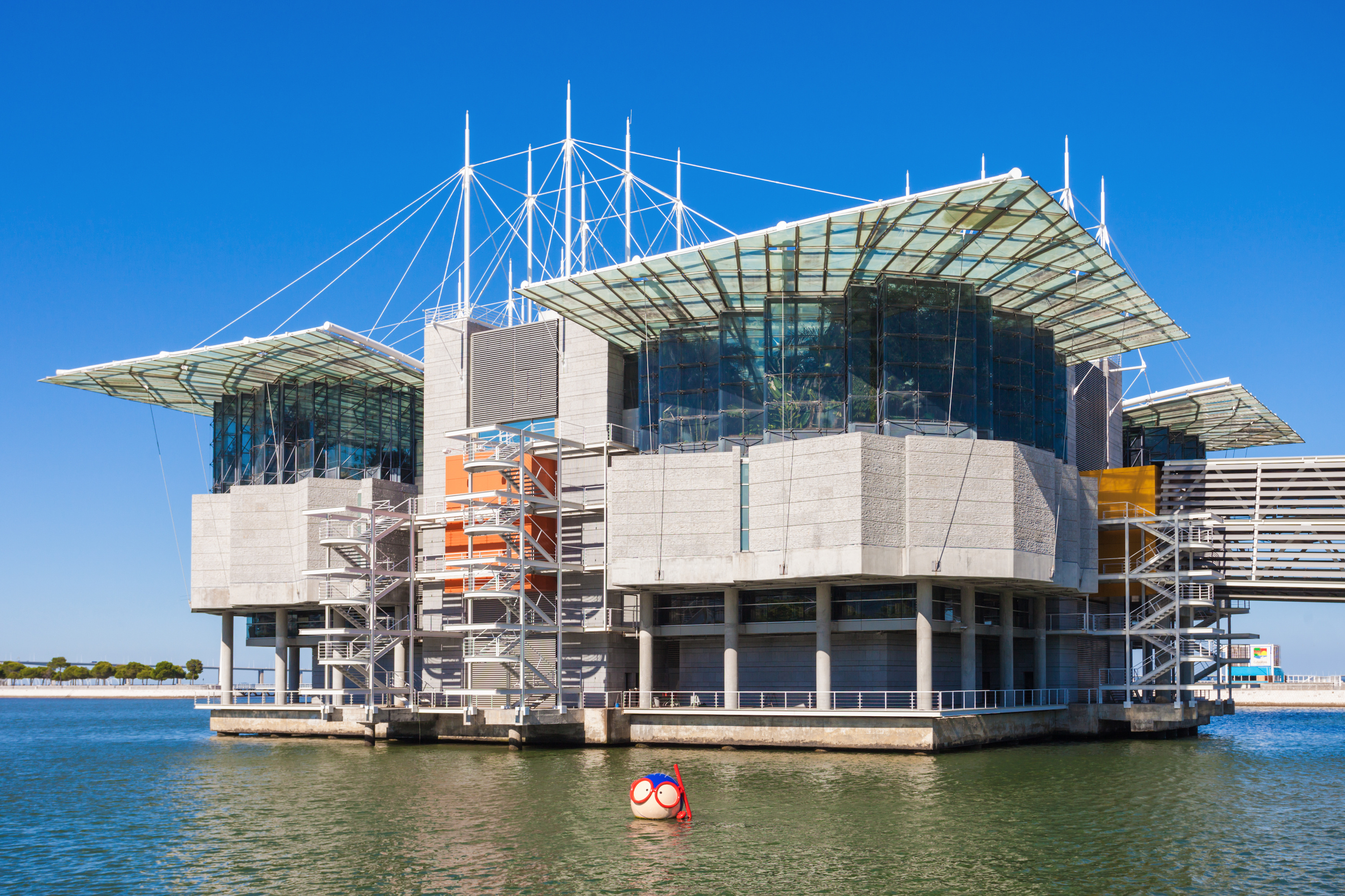 See Fantastic Sea Creatures At The Lisbon Oceanarium Portugal 3000x2000