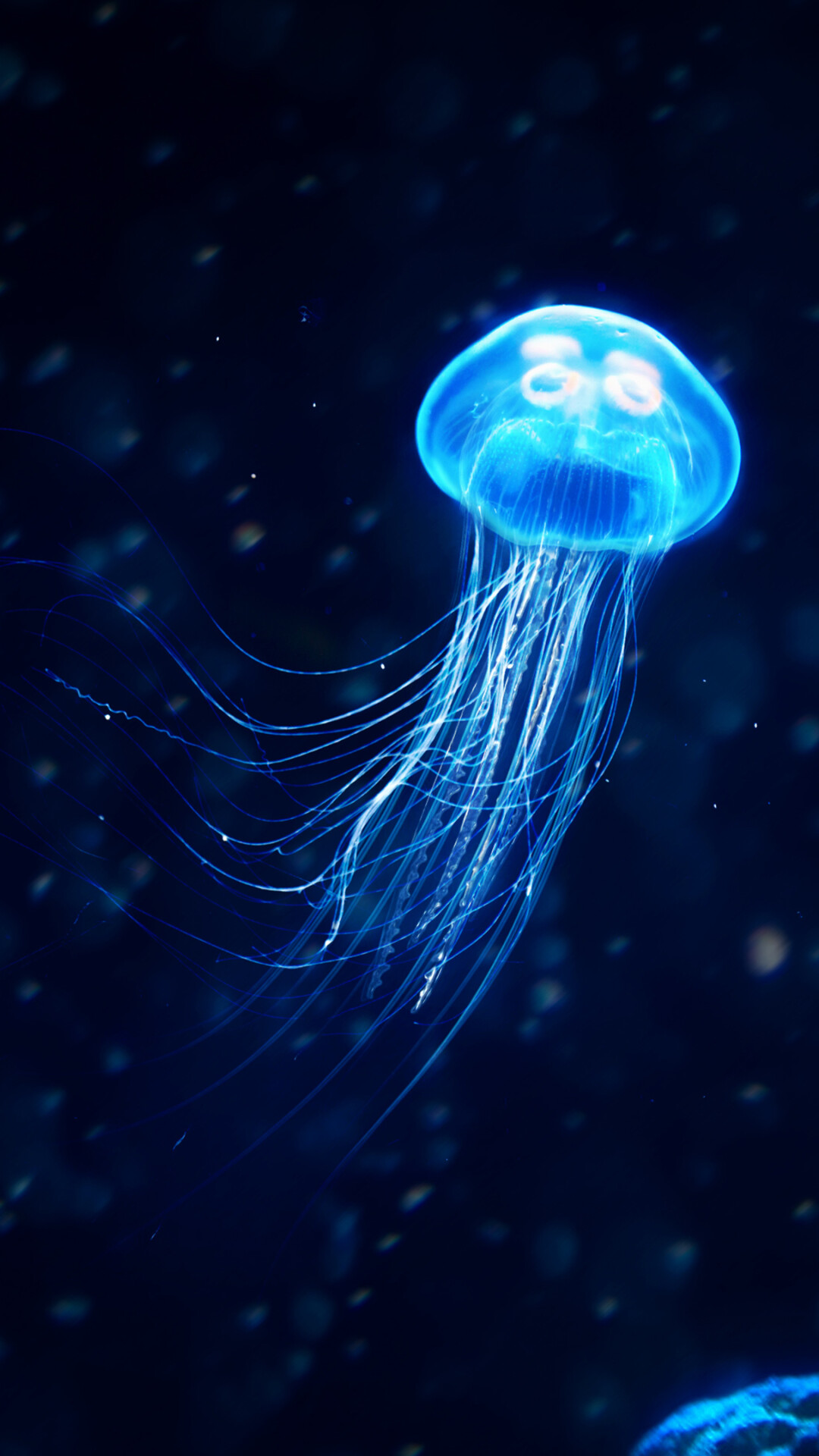 Glowing jellyfish, Ethereal beings, Enchanting beauty, Captivating appeal, 1080x1920 Full HD Phone