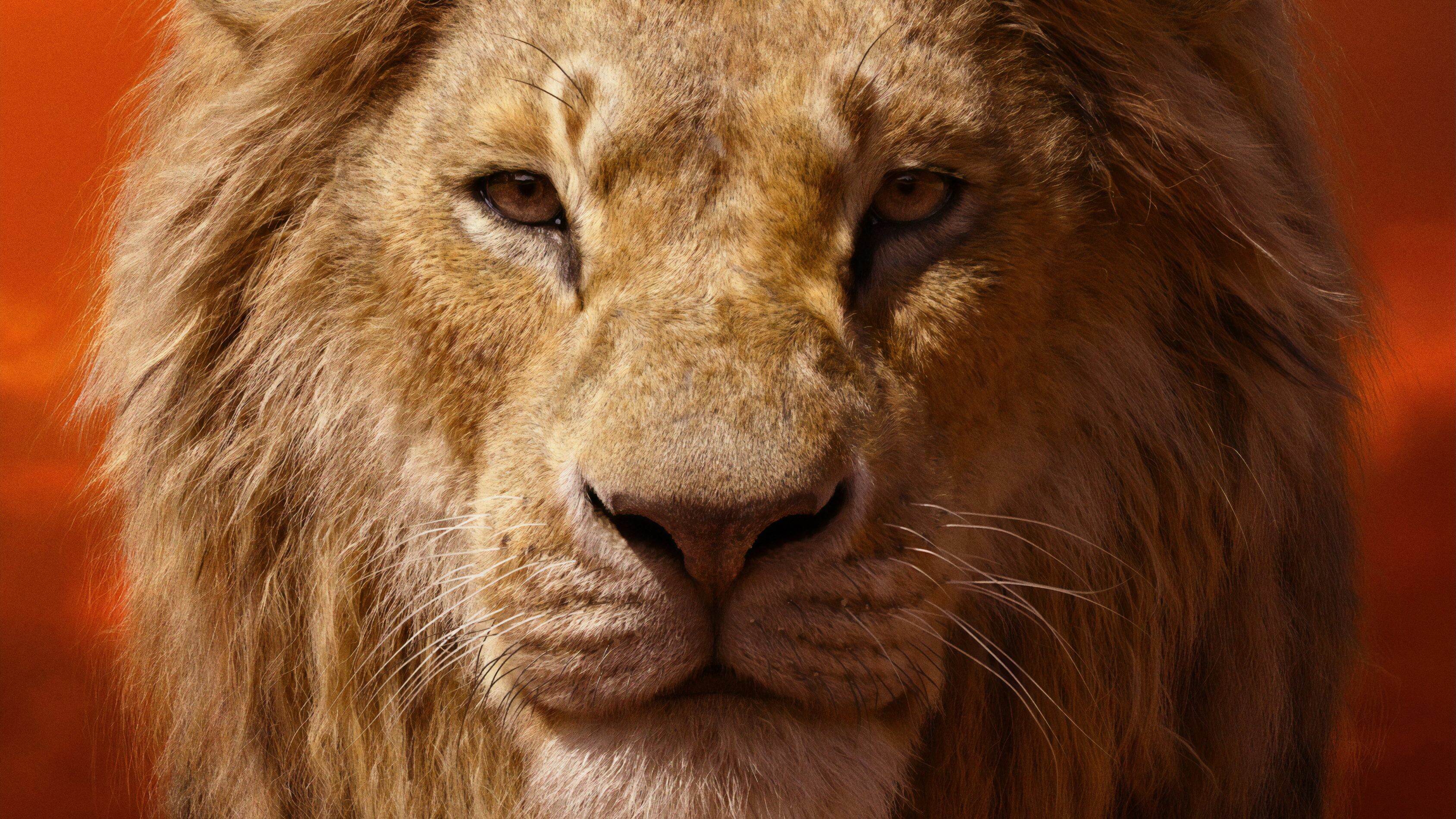 Lion King Simba, Wallpapers, 3380x1900 HD Desktop