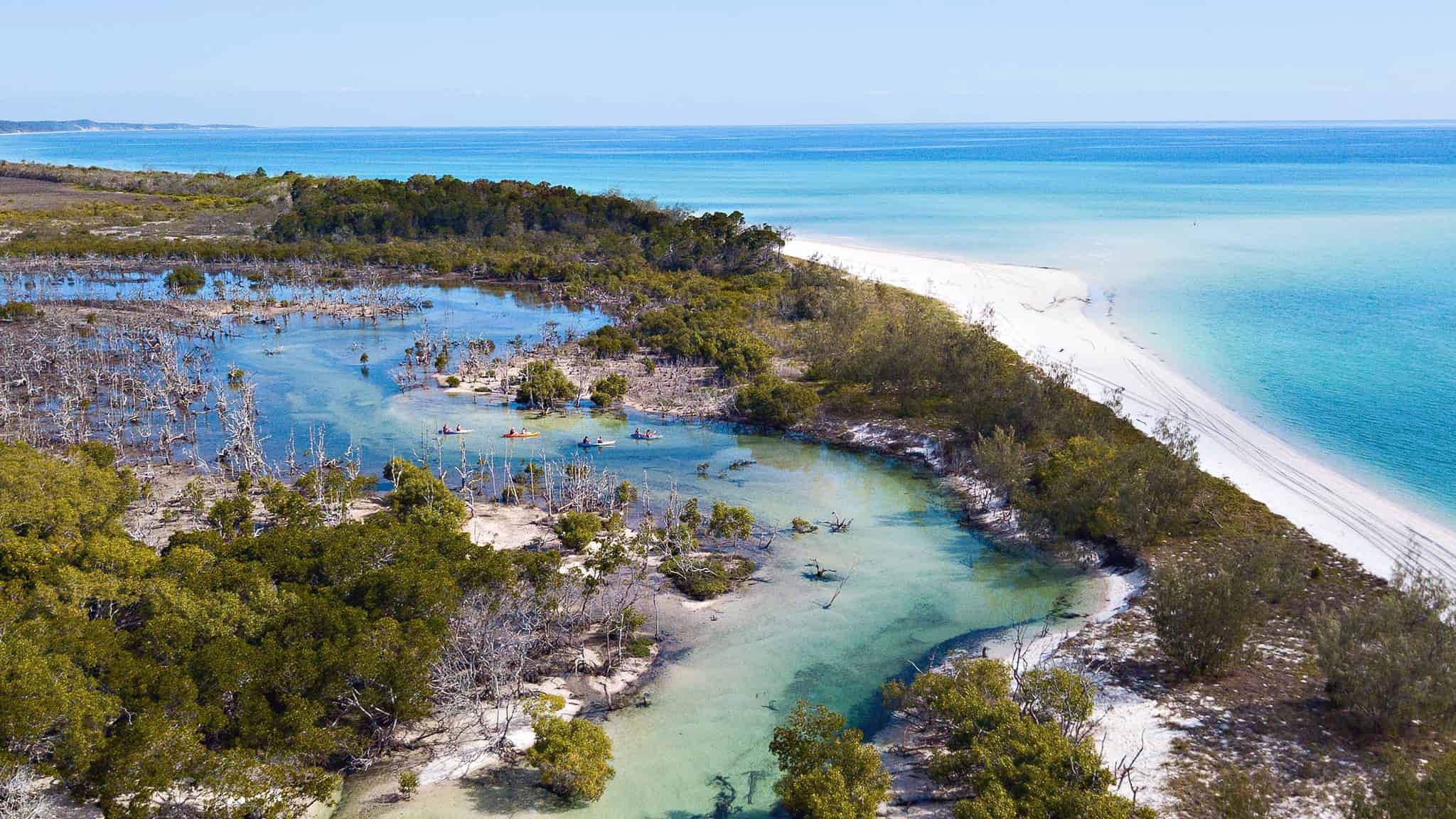 Fraser Island, Side, Locals, Travels, 2050x1160 HD Desktop