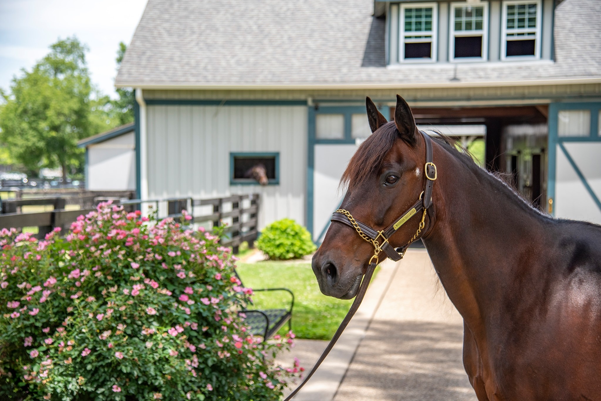 Kentucky Horse Park, Travels, Best camping, Places to visit, 2050x1370 HD Desktop