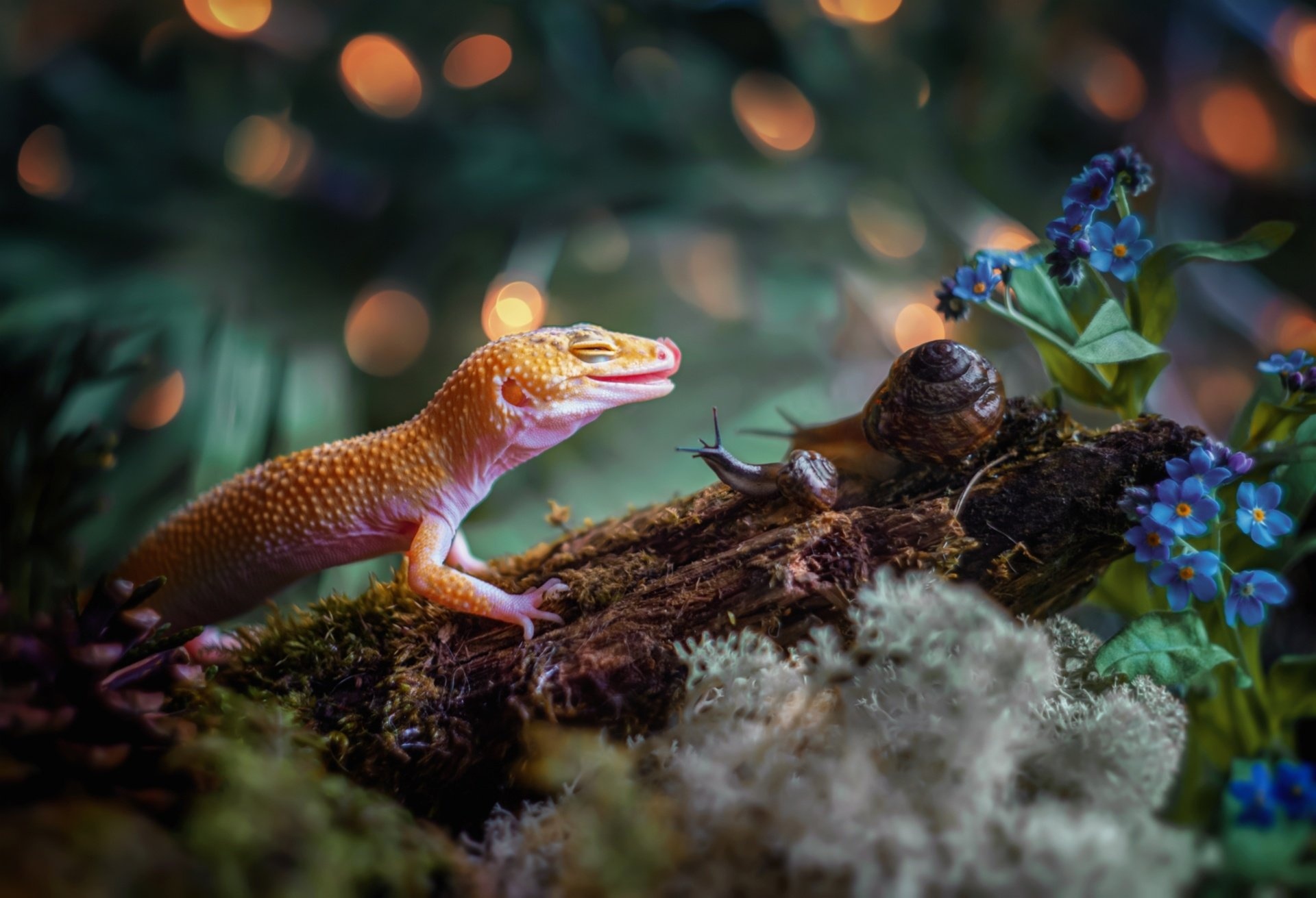 Common leopard gecko beauty, Mesmerizing reptile, Background charm, Gorgeous creature, 1920x1320 HD Desktop