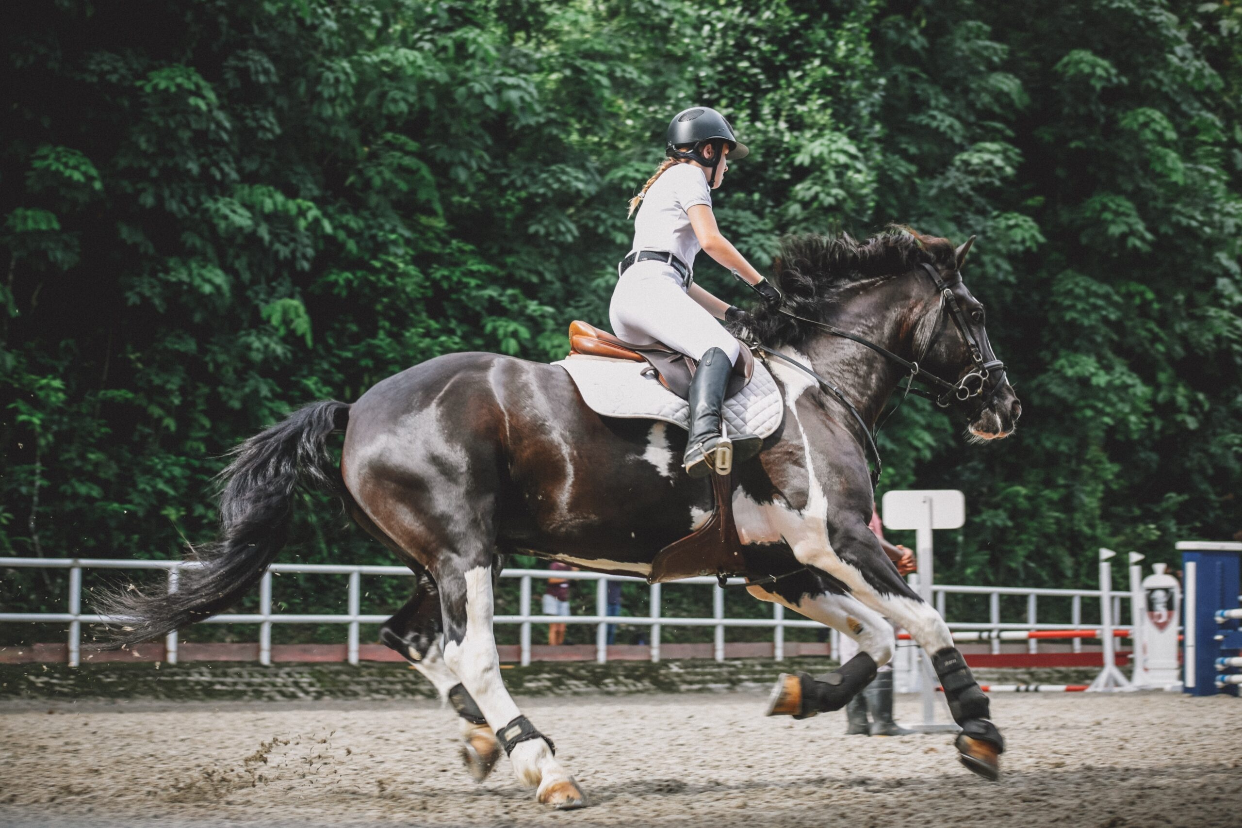 Equitation sports, Formula of success, Jessica von bredow, Malgr tout media, 2560x1710 HD Desktop