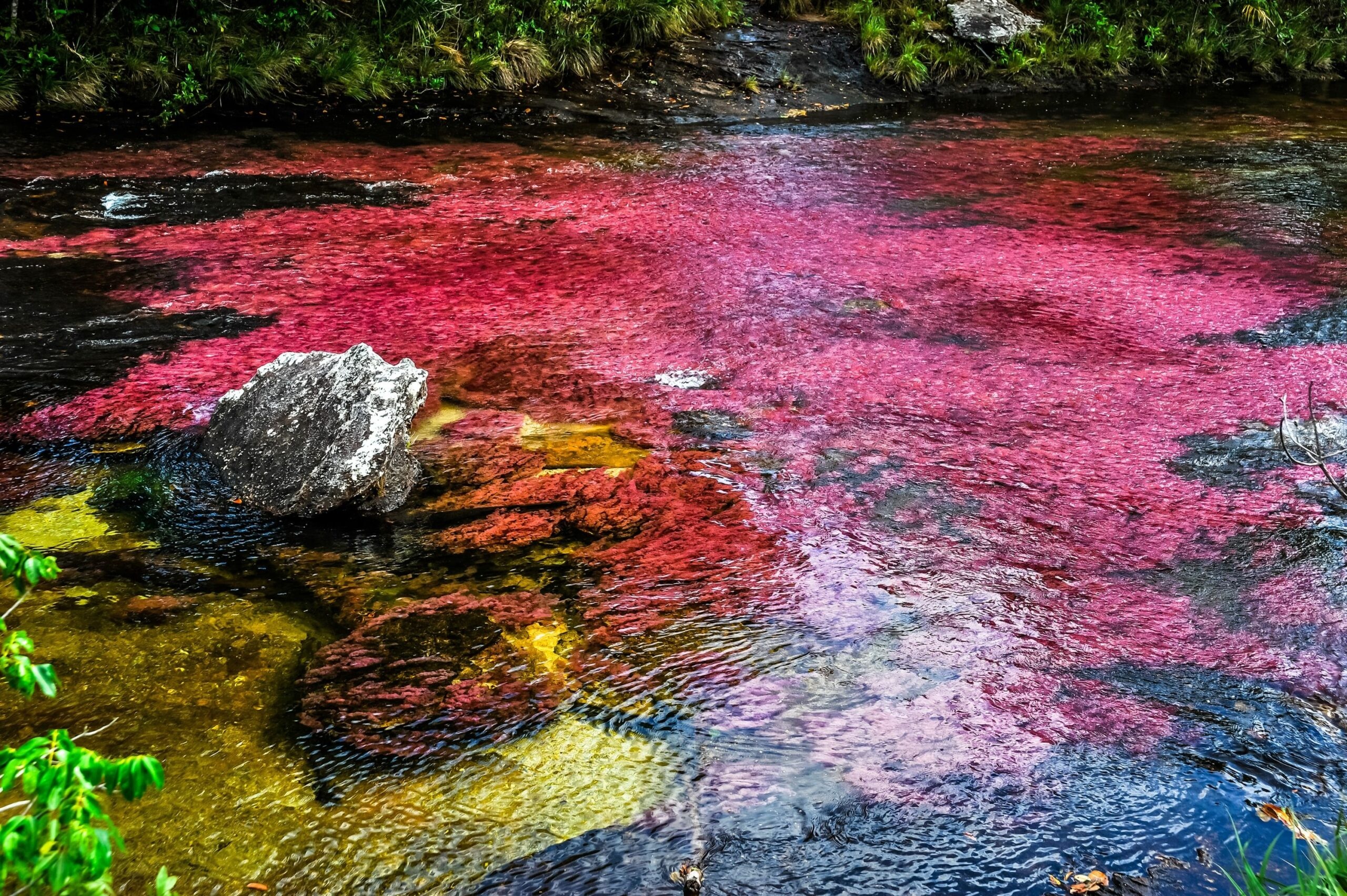 Serrania de la Macarena, Metropolitan touring, Colombia travel, Nature's beauty, 2560x1710 HD Desktop