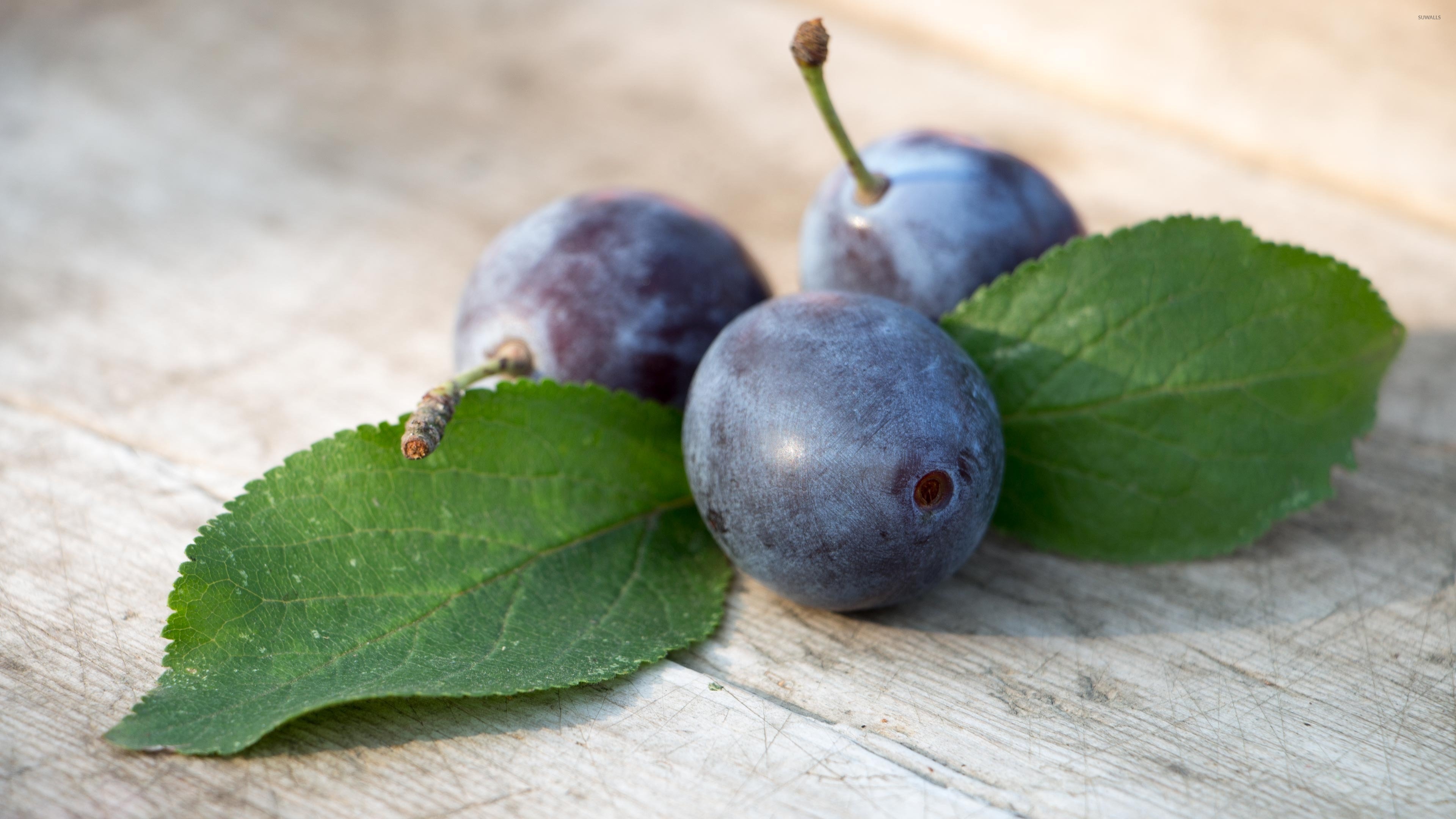 Three juicy plums, Beautifully arranged, Leafy backdrop, Captivating image, 3840x2160 4K Desktop