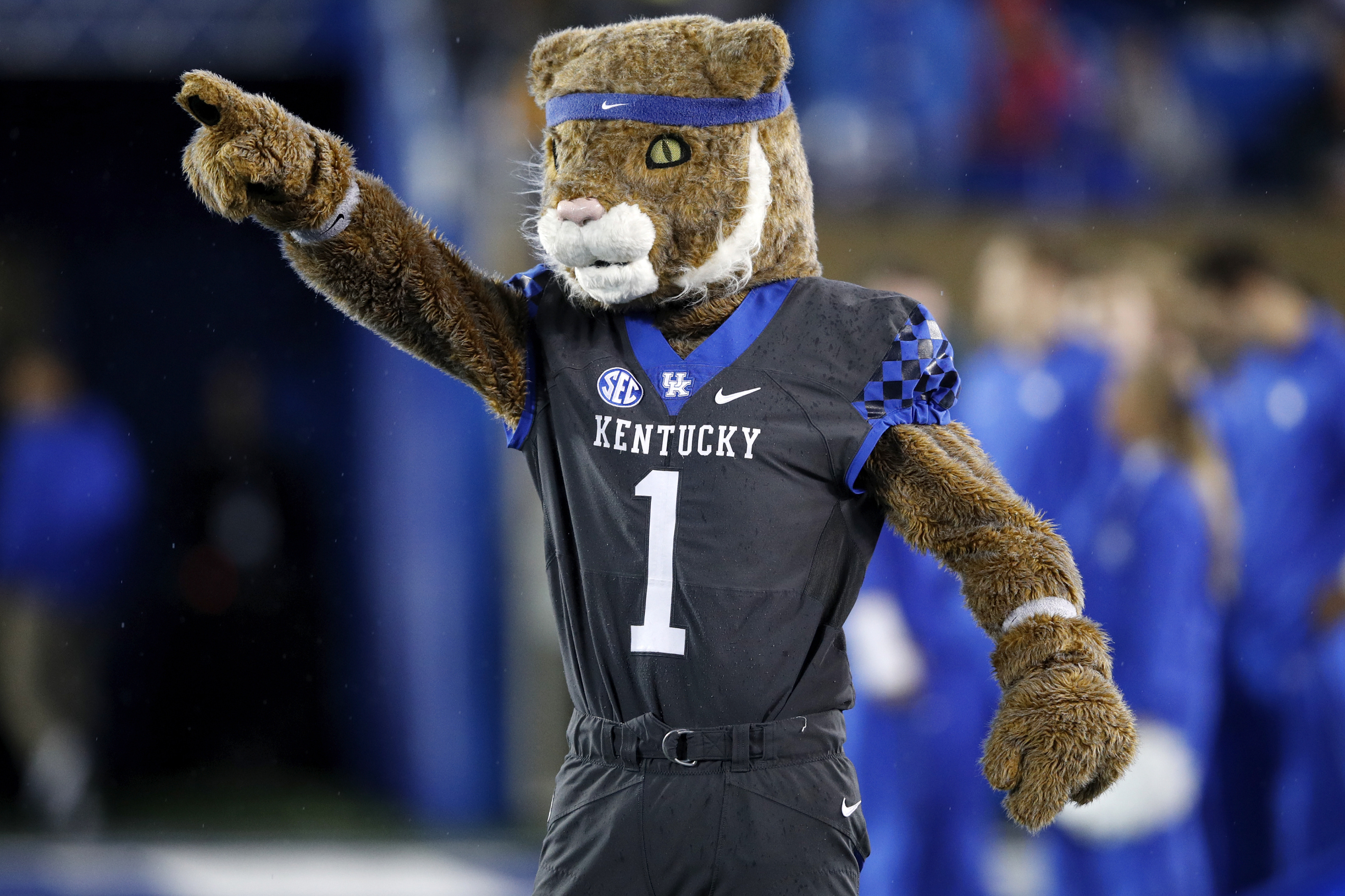 Mascot, Kentucky Wildcats Wallpaper, 3200x2140 HD Desktop