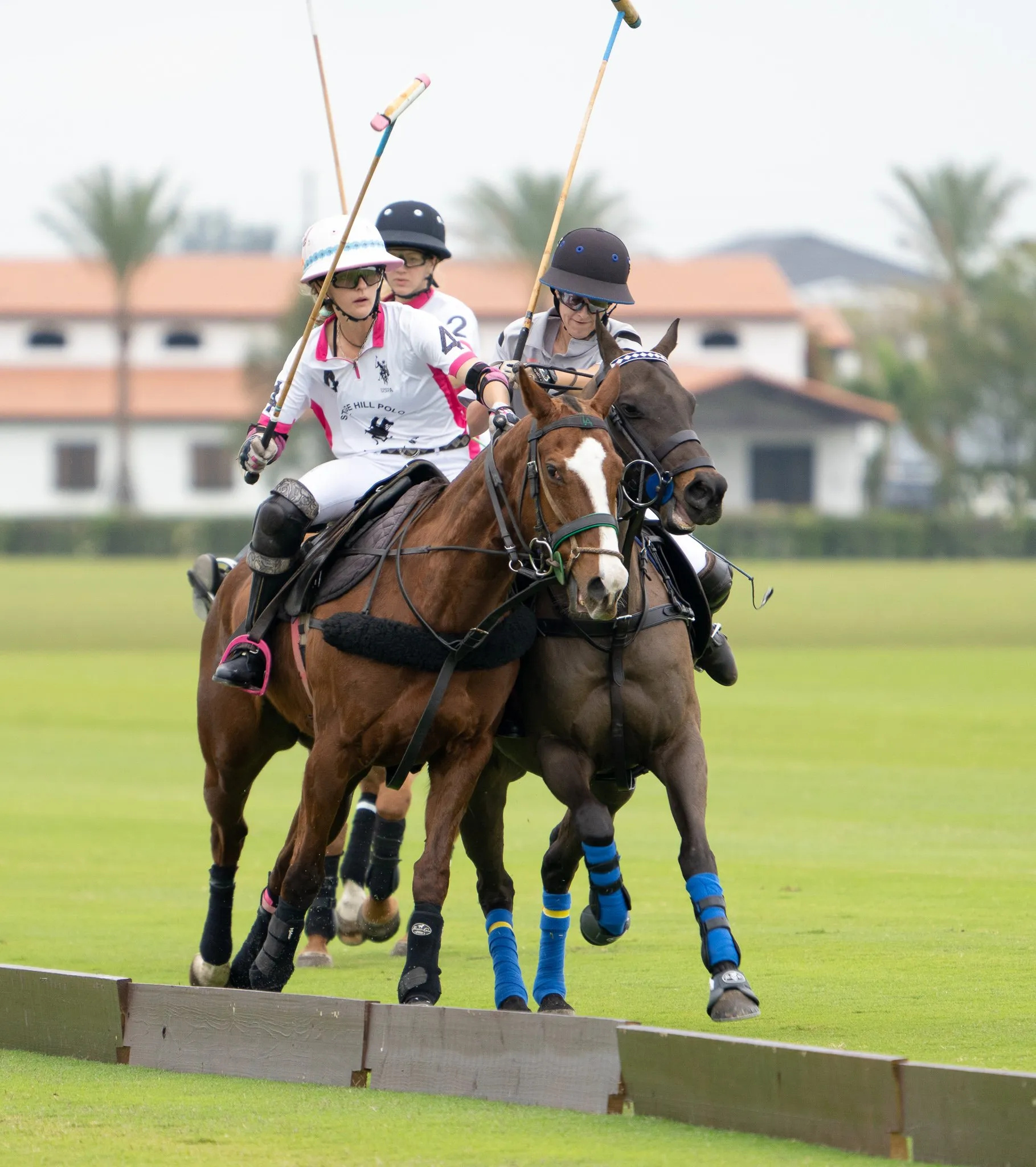 Polo school, Grand Champions Women's League, Santa Rita Polo Farm, 1820x2050 HD Phone