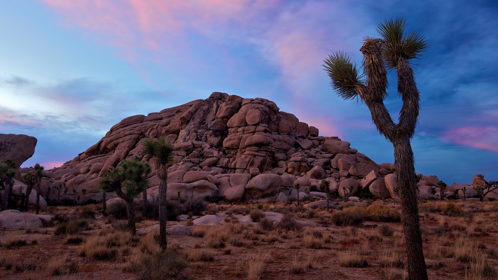 Joshua Tree National Park, HD wallpapers, Desktop backgrounds, Picturesque landscapes, 1920x1080 Full HD Desktop