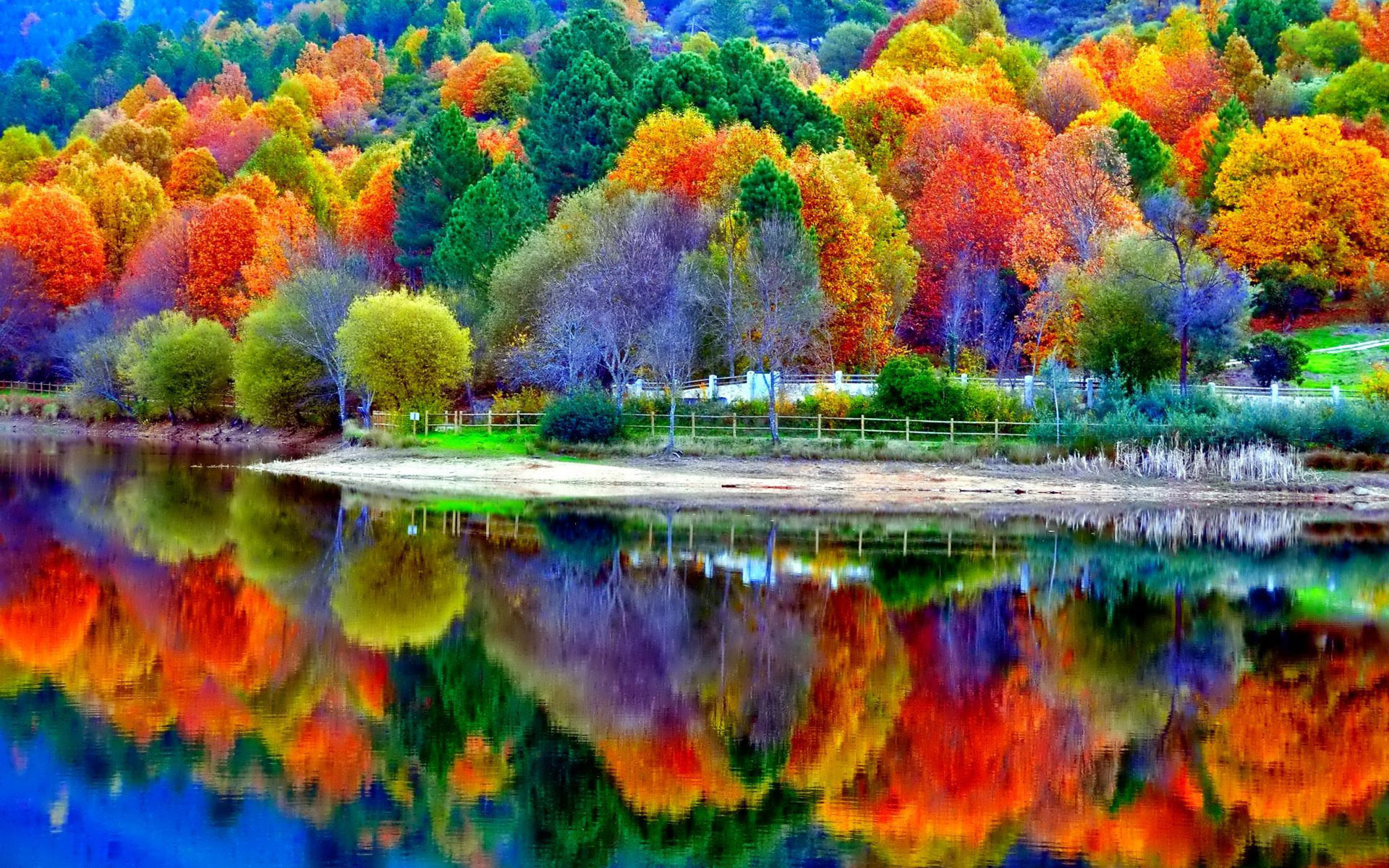 Autumn lake, Scenery Wallpaper, 1920x1200 HD Desktop