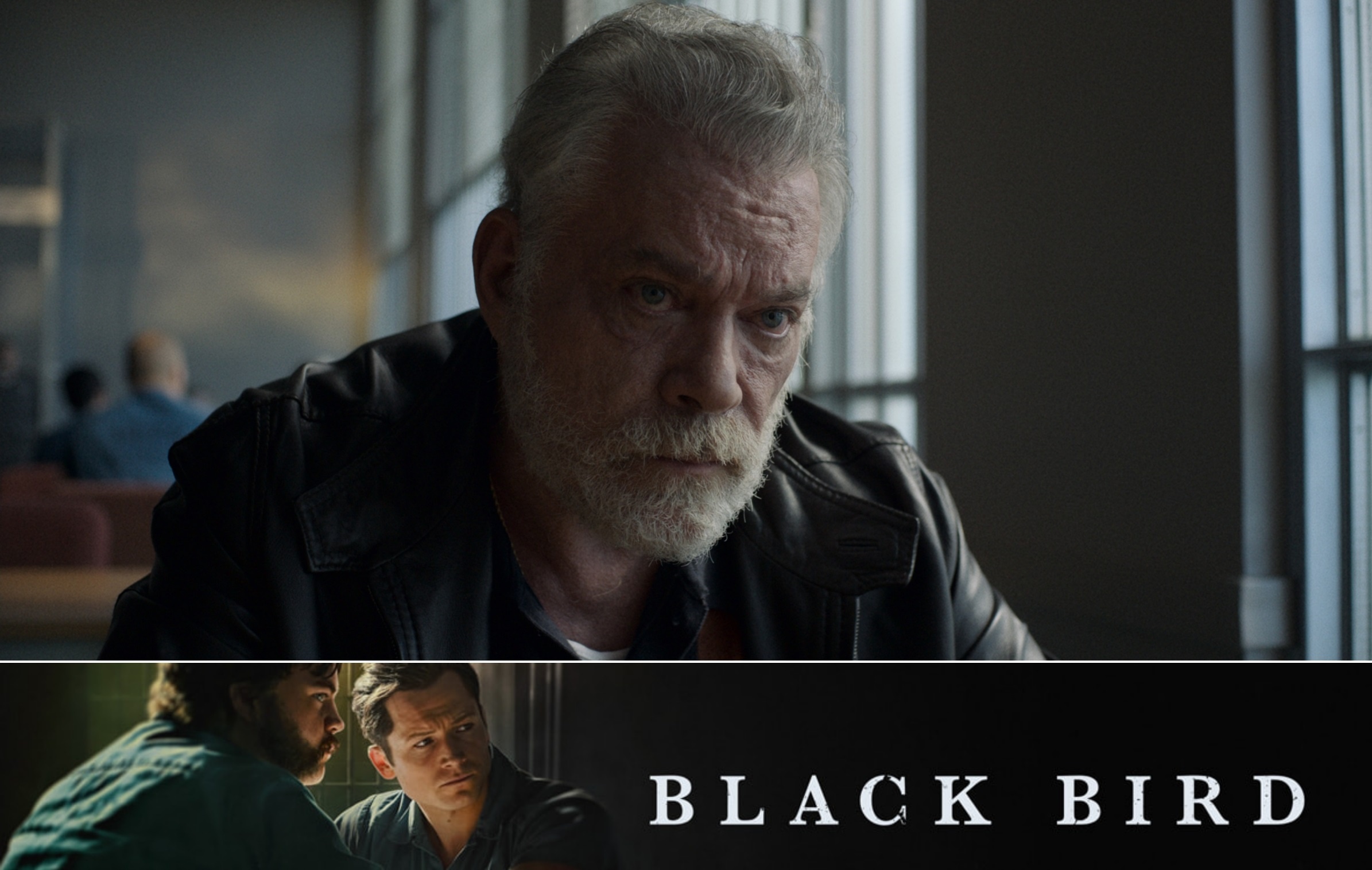 Ray Liotta, Final TV project, Black Bird, 2390x1520 HD Desktop