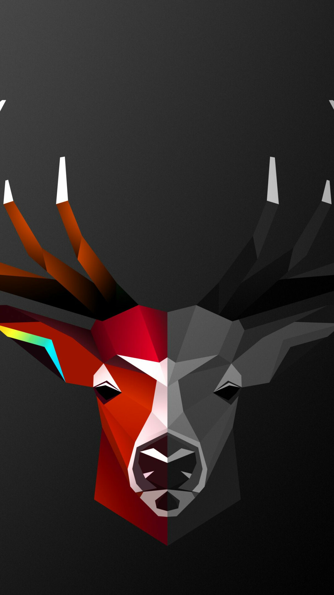 Reindeer, Animals, Wildlife, Reindeer, 1080x1920 Full HD Phone