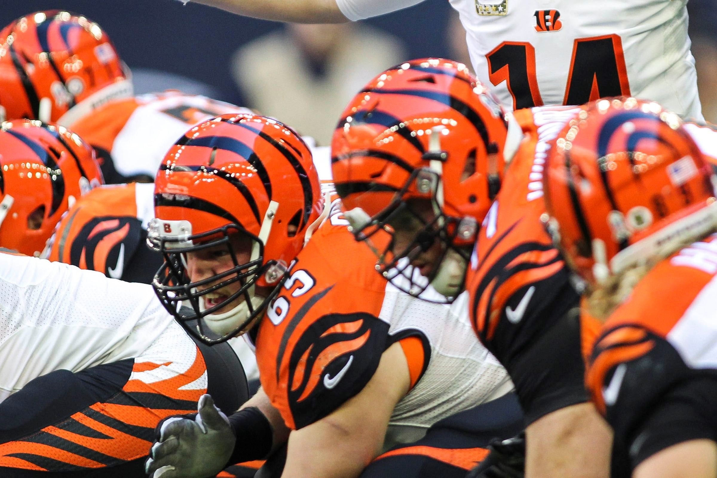 Cincinnati Bengals, HD wallpaper, Team's fierce presence, 2400x1600 HD Desktop