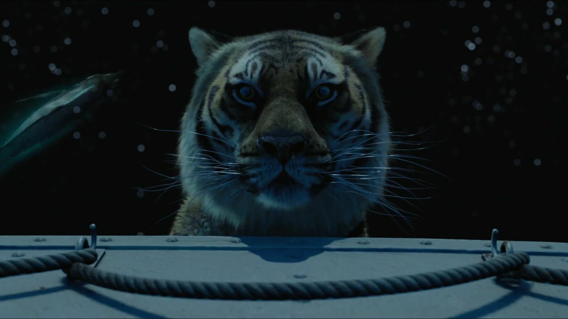 Life of Pi, Exquisite movie, Captivating wallpapers, Adventure on the sea, 1920x1080 Full HD Desktop