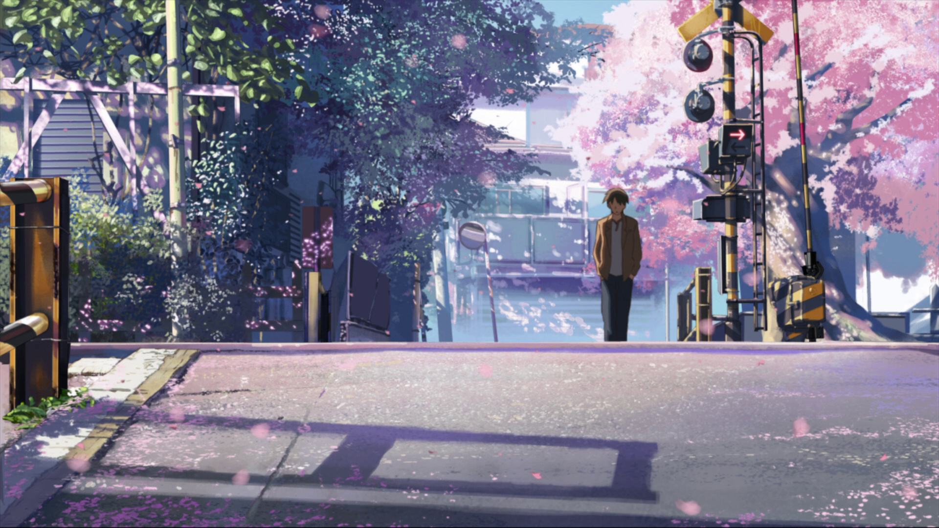 Takaki Tono, Japanese railway crossing signal, Falling sakura petals, Full HD Desktop wallpaper