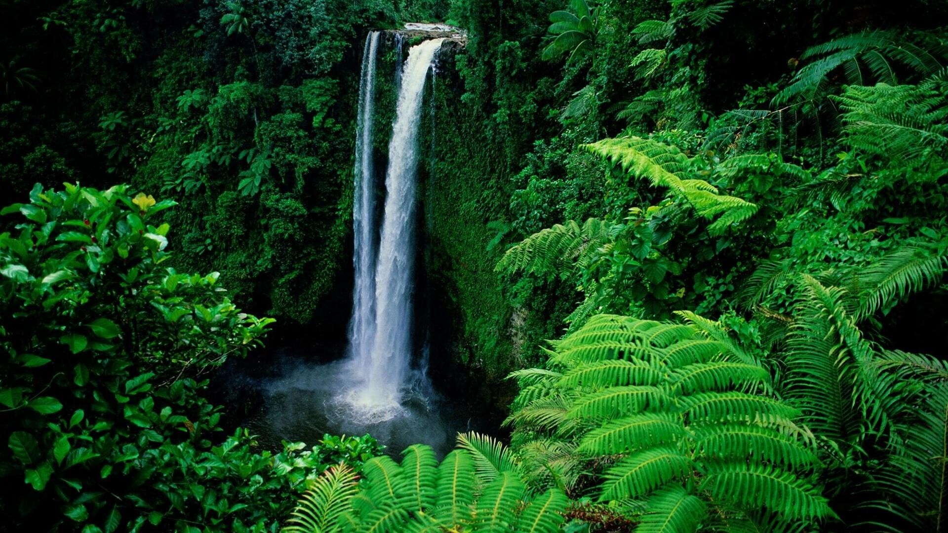 Waterfall, Go Green Wallpaper, 1920x1080 Full HD Desktop