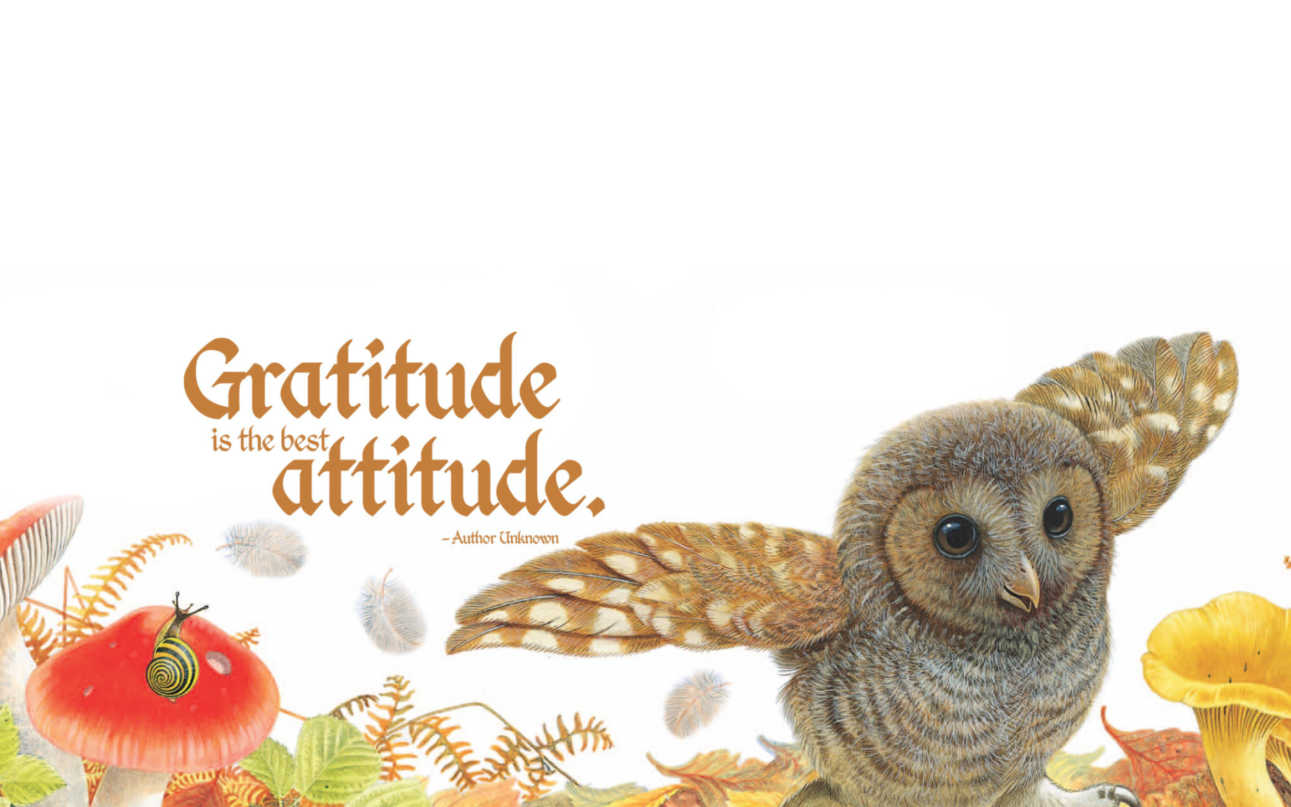Gratitude, Gratitude-inspired artwork, Positive affirmations, Positive mindset, 2520x1580 HD Desktop