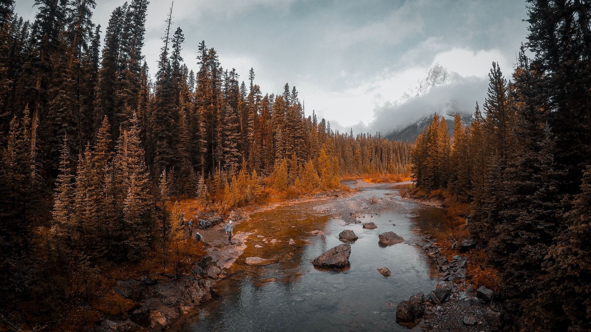 Cinnamon bark, Nutmeg-infused air, Berry brambles, Woolen plaids, Aged woodscapes, 1920x1080 Full HD Desktop