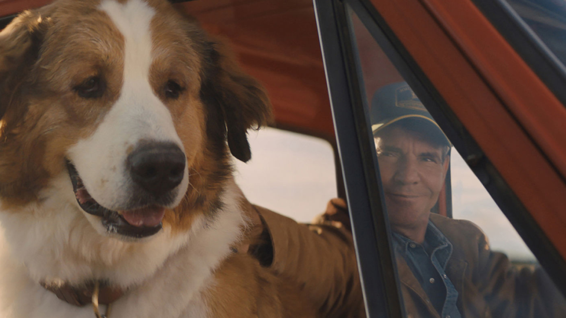 A Dog's Journey, Josh Gad, Voice, Bailey, 1920x1080 Full HD Desktop