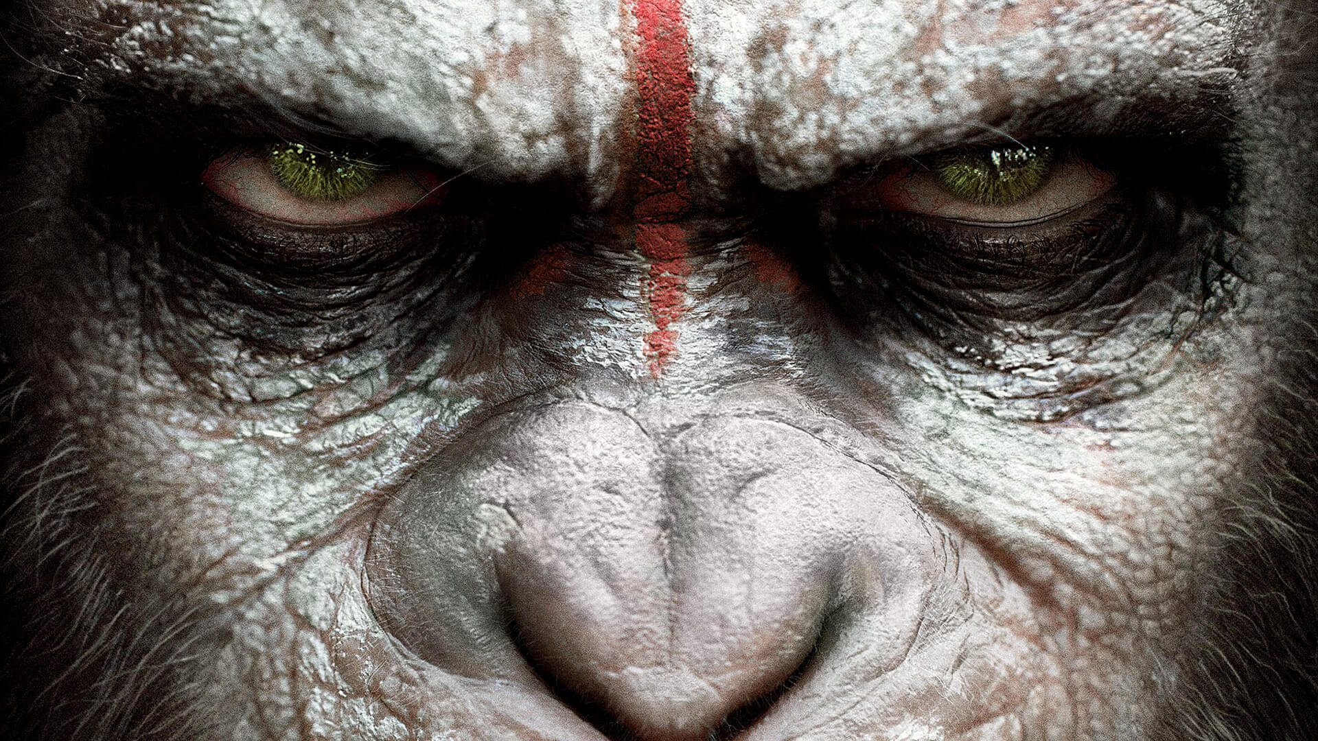 Planet of the Apes, HD wallpapers, Desktop backgrounds, 1920x1080 Full HD Desktop