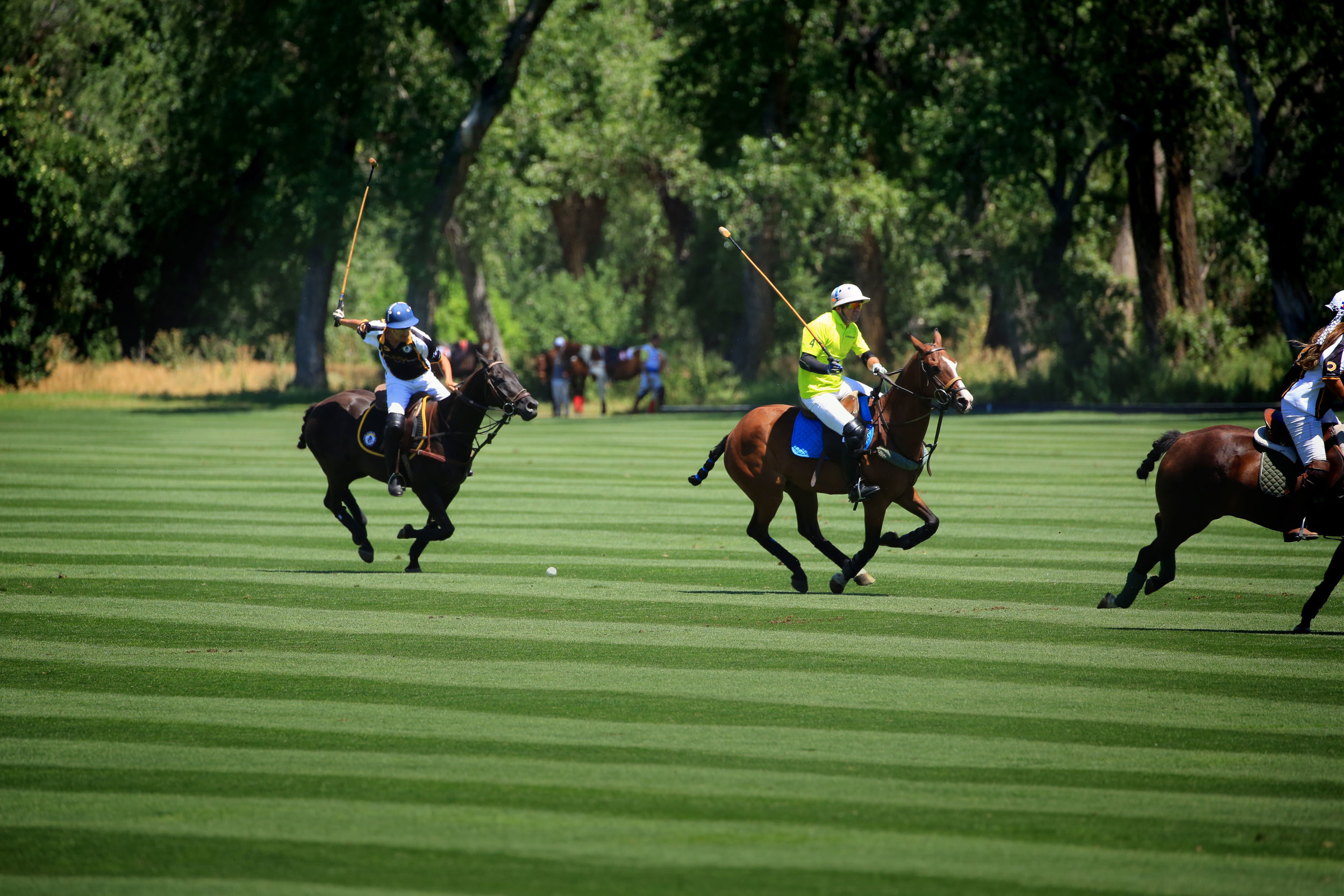 History of polo, Denver Polo Club, Rich equestrian heritage, Classic sport, 2500x1670 HD Desktop