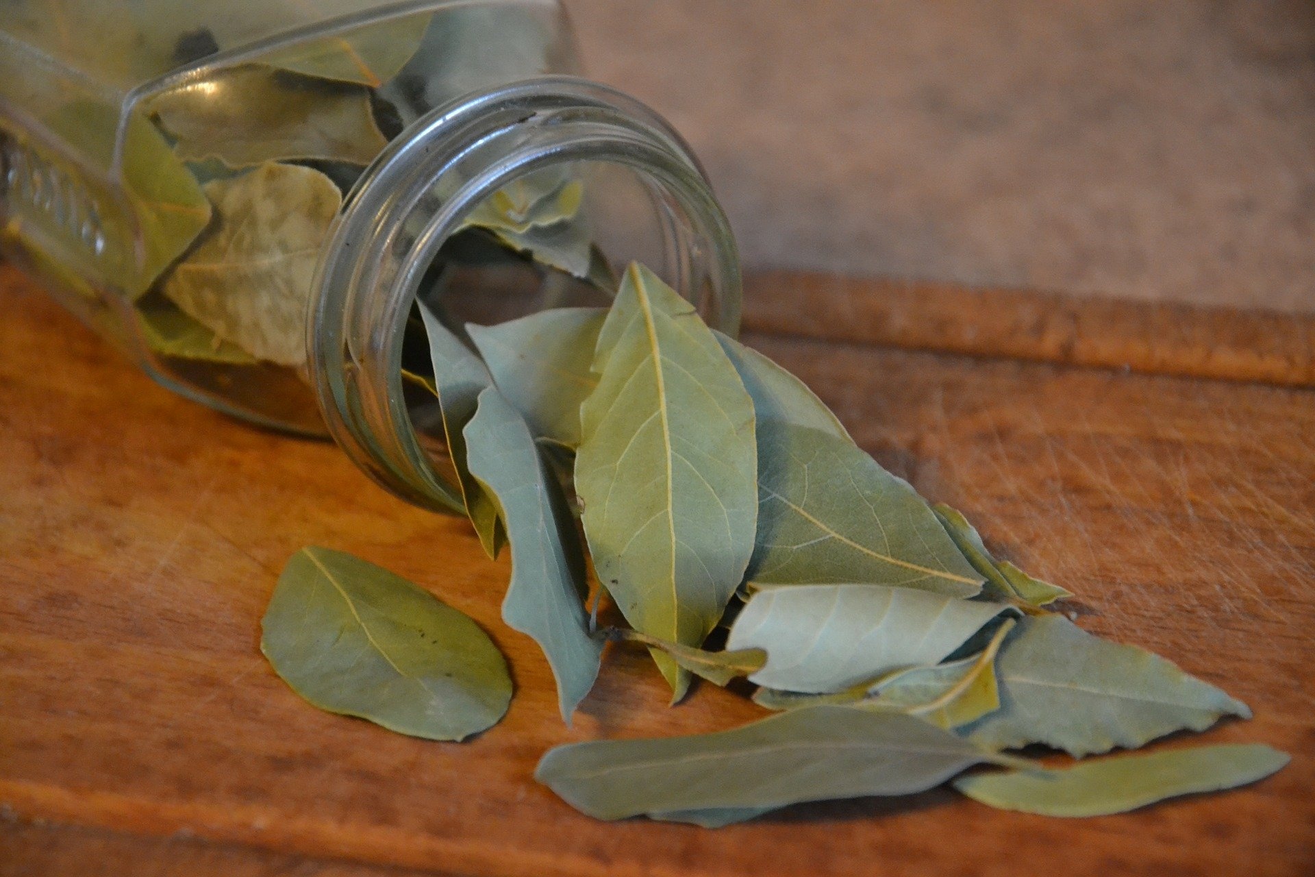 Jar, Bay Leaves Wallpaper, 1920x1280 HD Desktop