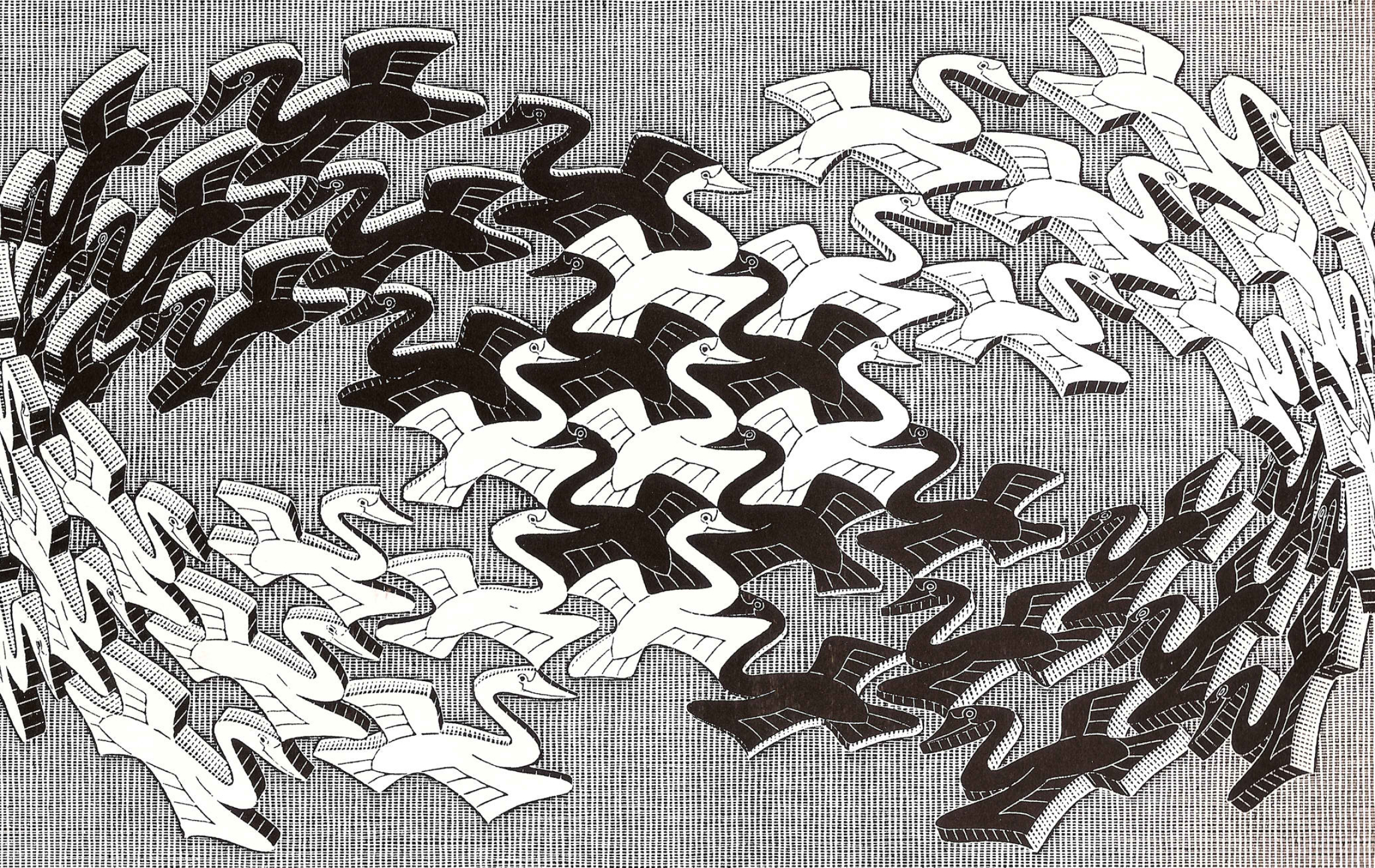 Swans, M.C. Escher Wallpaper, 2290x1450 HD Desktop
