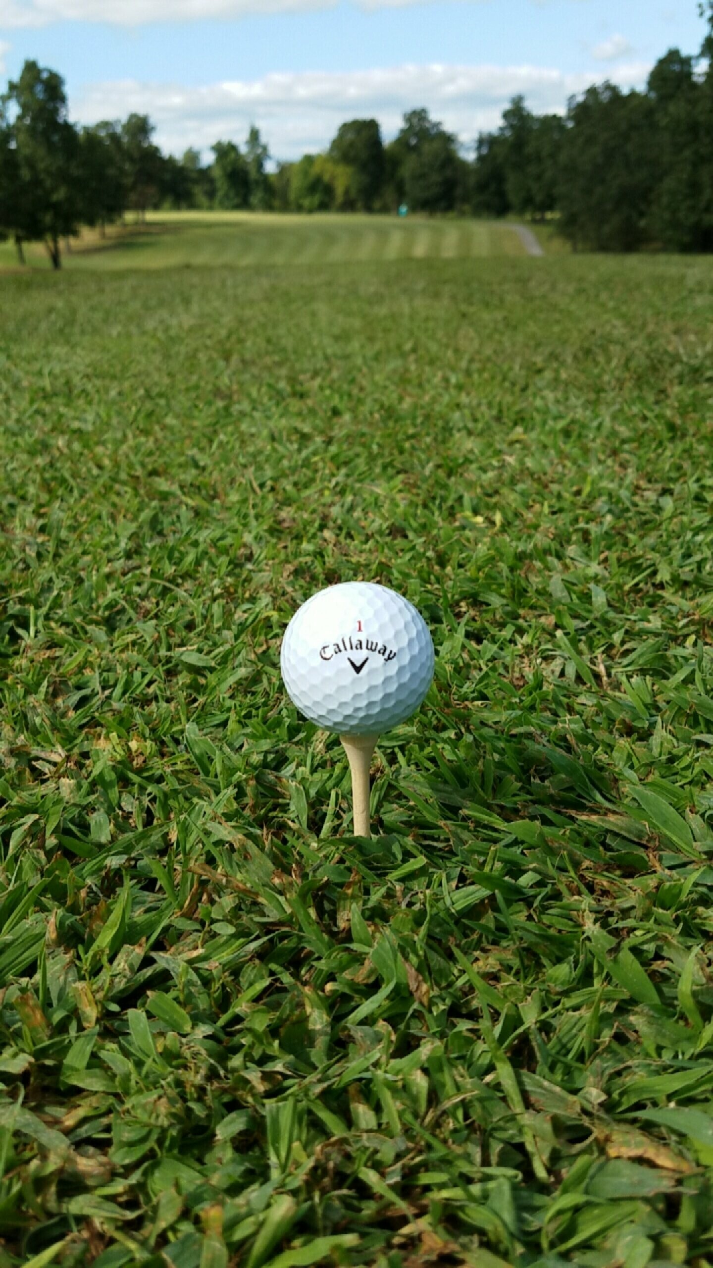 Callaway, Golf, Wallpaper, Christopher, 1440x2560 HD Phone
