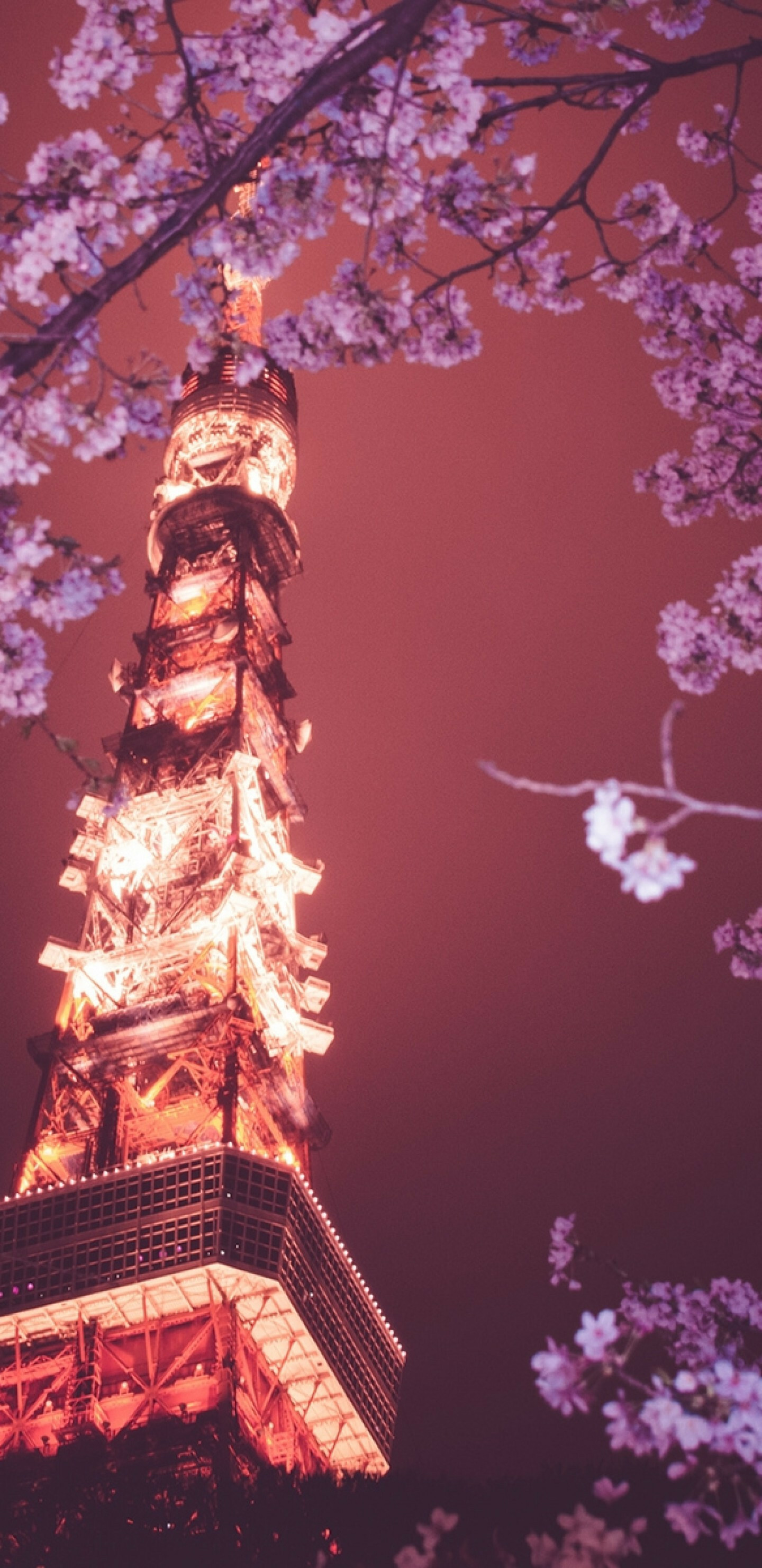 Tokyo Tower, Japan Wallpaper, 1440x2960 HD Phone