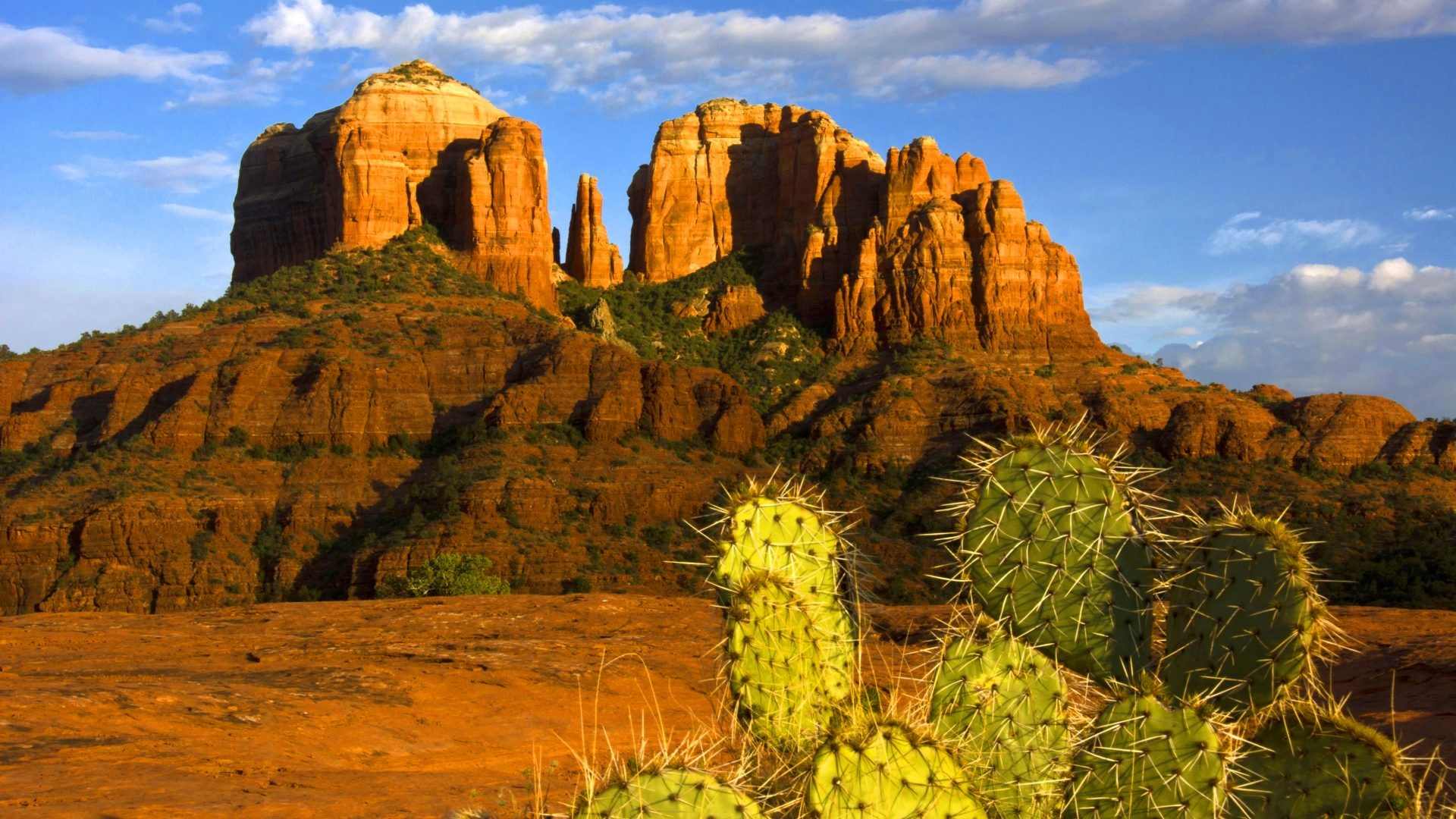 Majestic sunset, Cathedral view, Prickly paradise, Nature's wonder, 1920x1080 Full HD Desktop