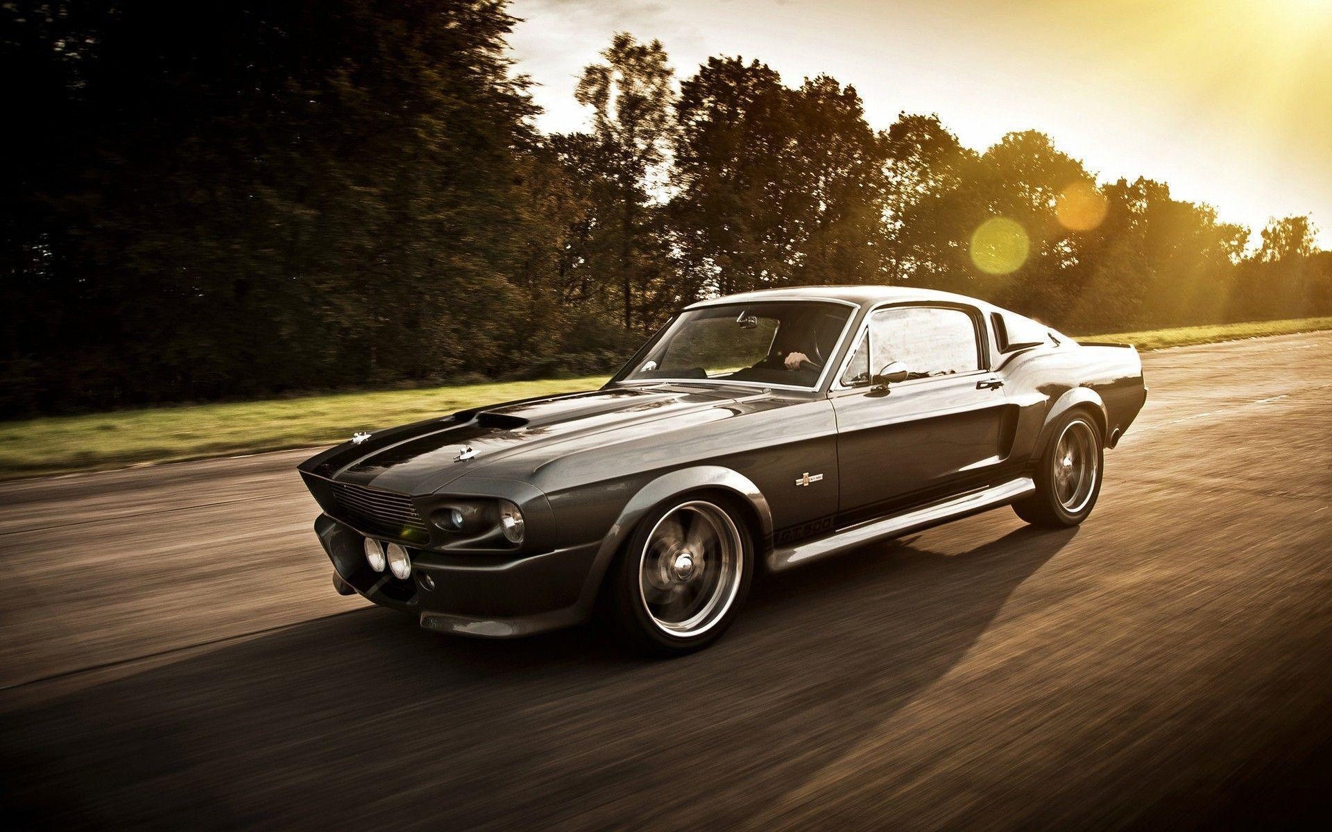 1967 Ford Mustang Eleanor, Golden hour sun flare, Tree-lined asphalt road, HD Desktop wallpaper
