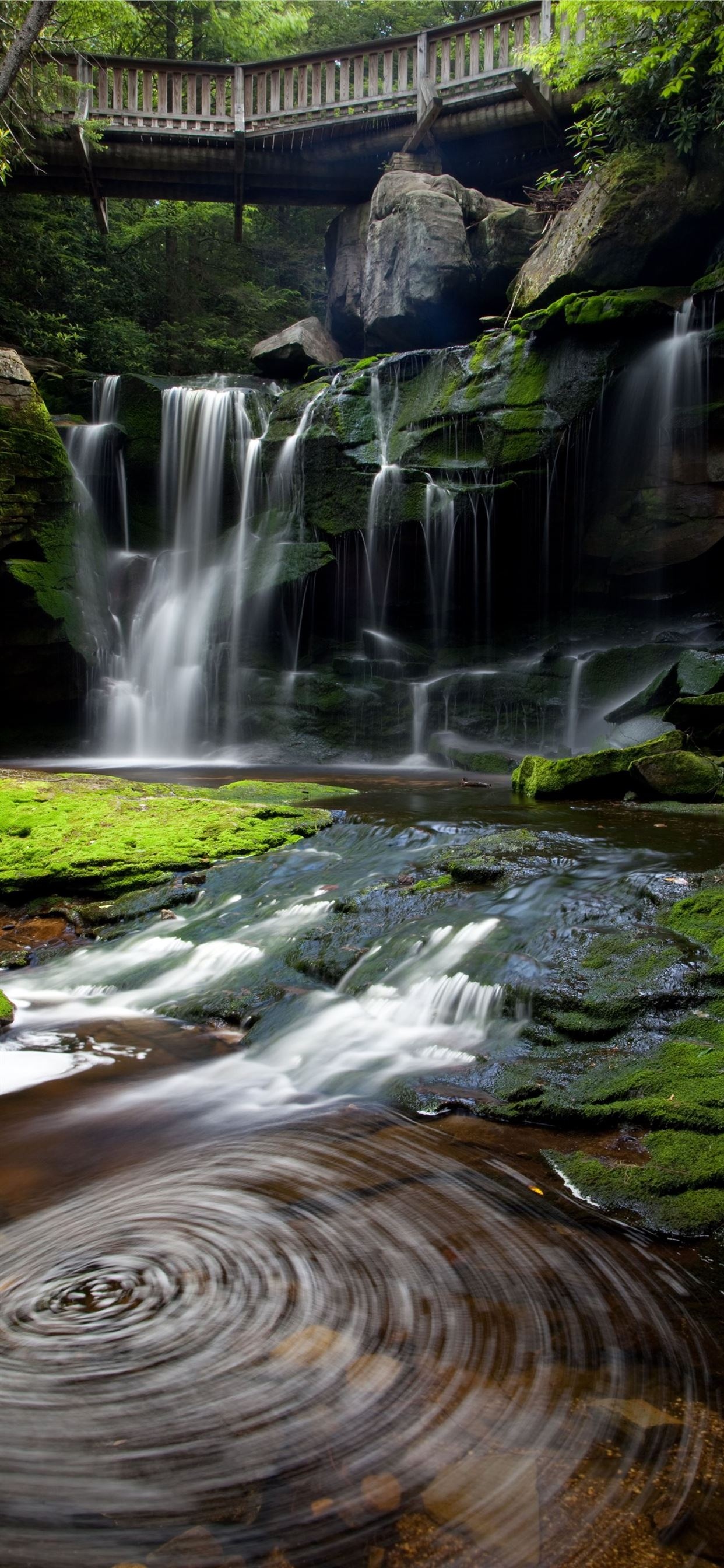 Virginia State, iPhone, Wallpapers, Download, 1250x2690 HD Phone