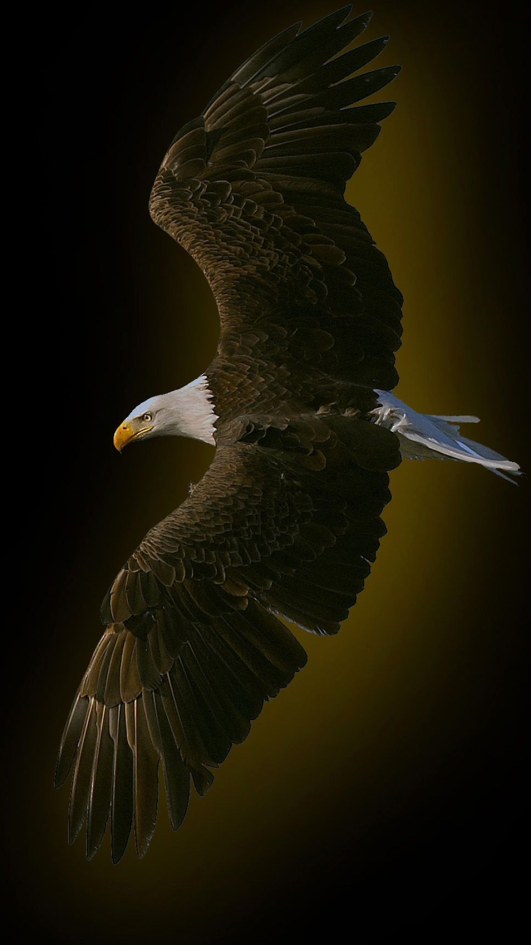 Eagle astronauts, Unique backgrounds, 1080x1920 Full HD Phone