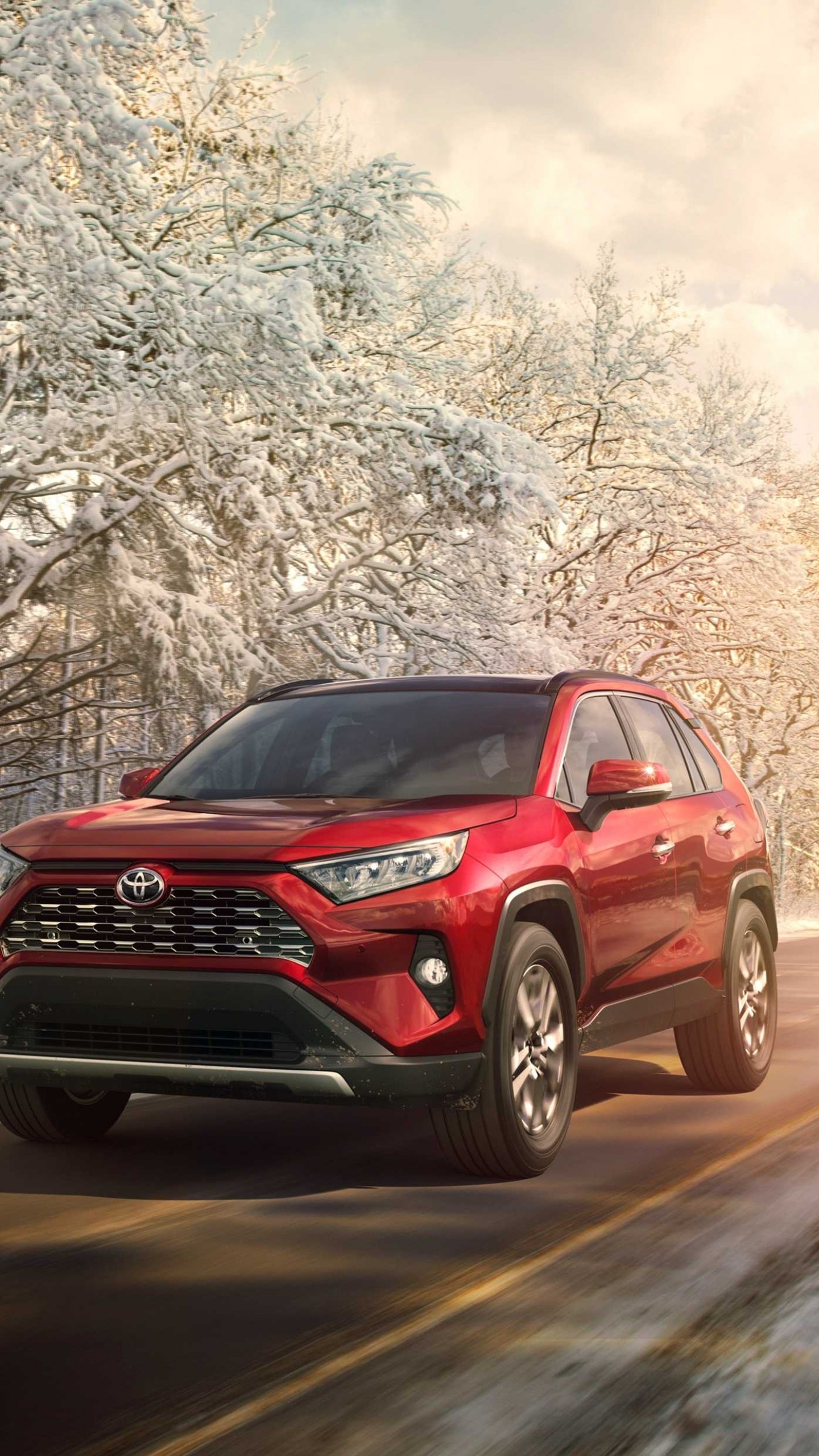 Toyota RAV4, SUV 2019, Cars wallpapers, 4K, 1440x2560 HD Phone