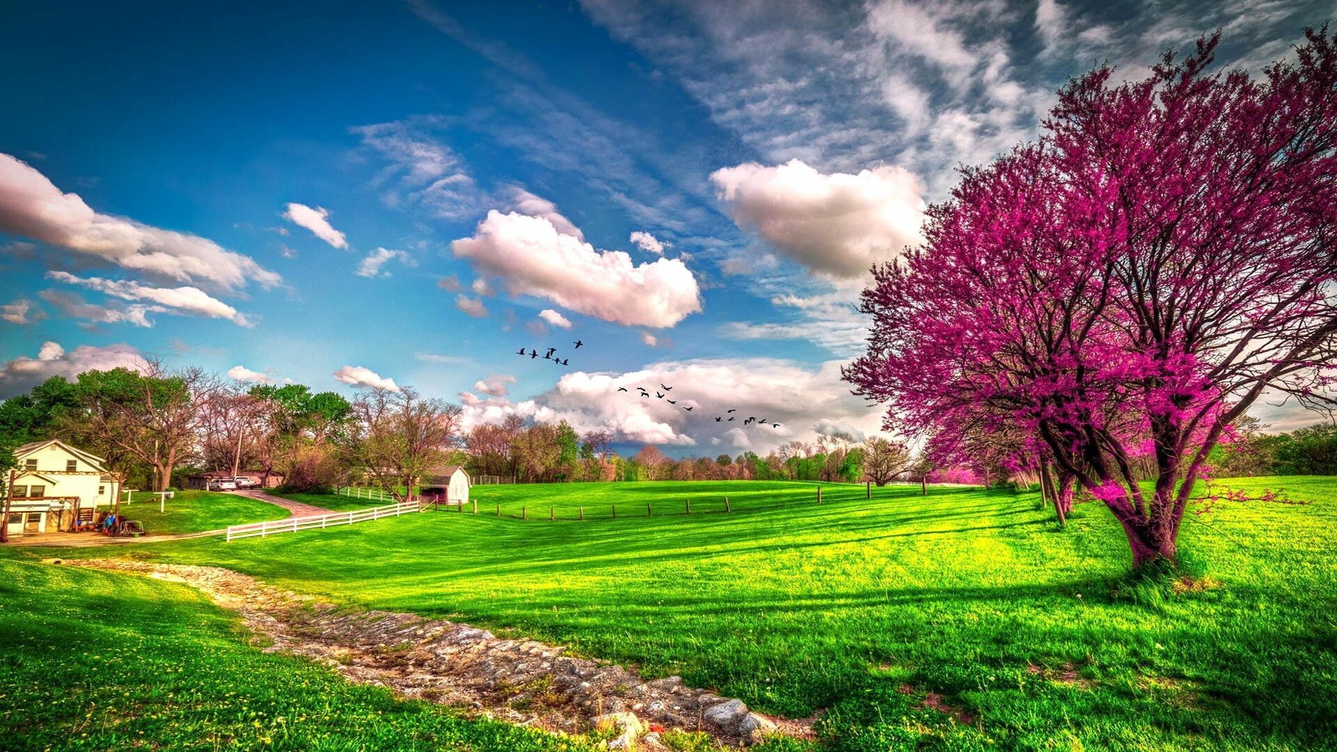 Spring, Beautiful landscape, Seasons wallpapers, HD wallpaper, 1920x1080 Full HD Desktop