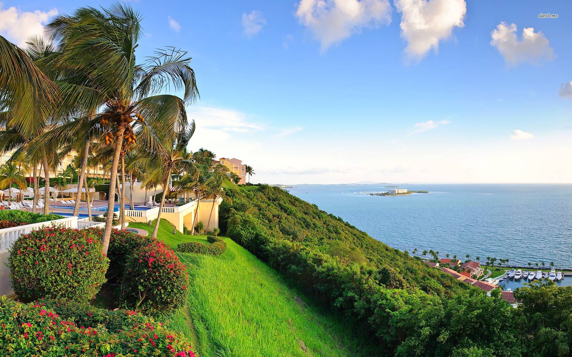 Puerto Rican wallpapers, Vibrant colors, Island charm, Cultural pride, 1920x1200 HD Desktop