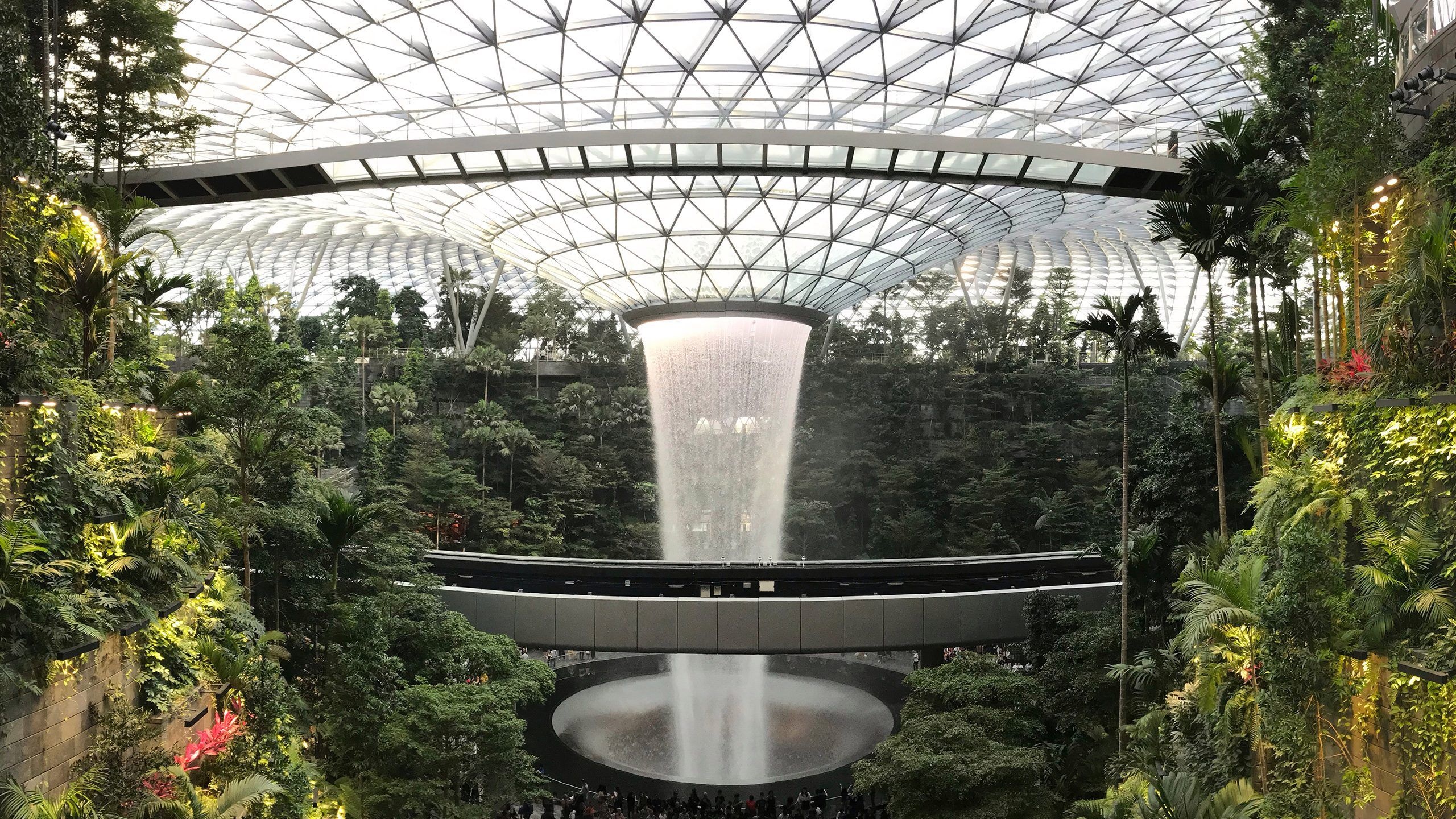 Singapore Changi International Airport, World-class aviation hub, Breathtaking terminals, Traveler's paradise, 2560x1440 HD Desktop