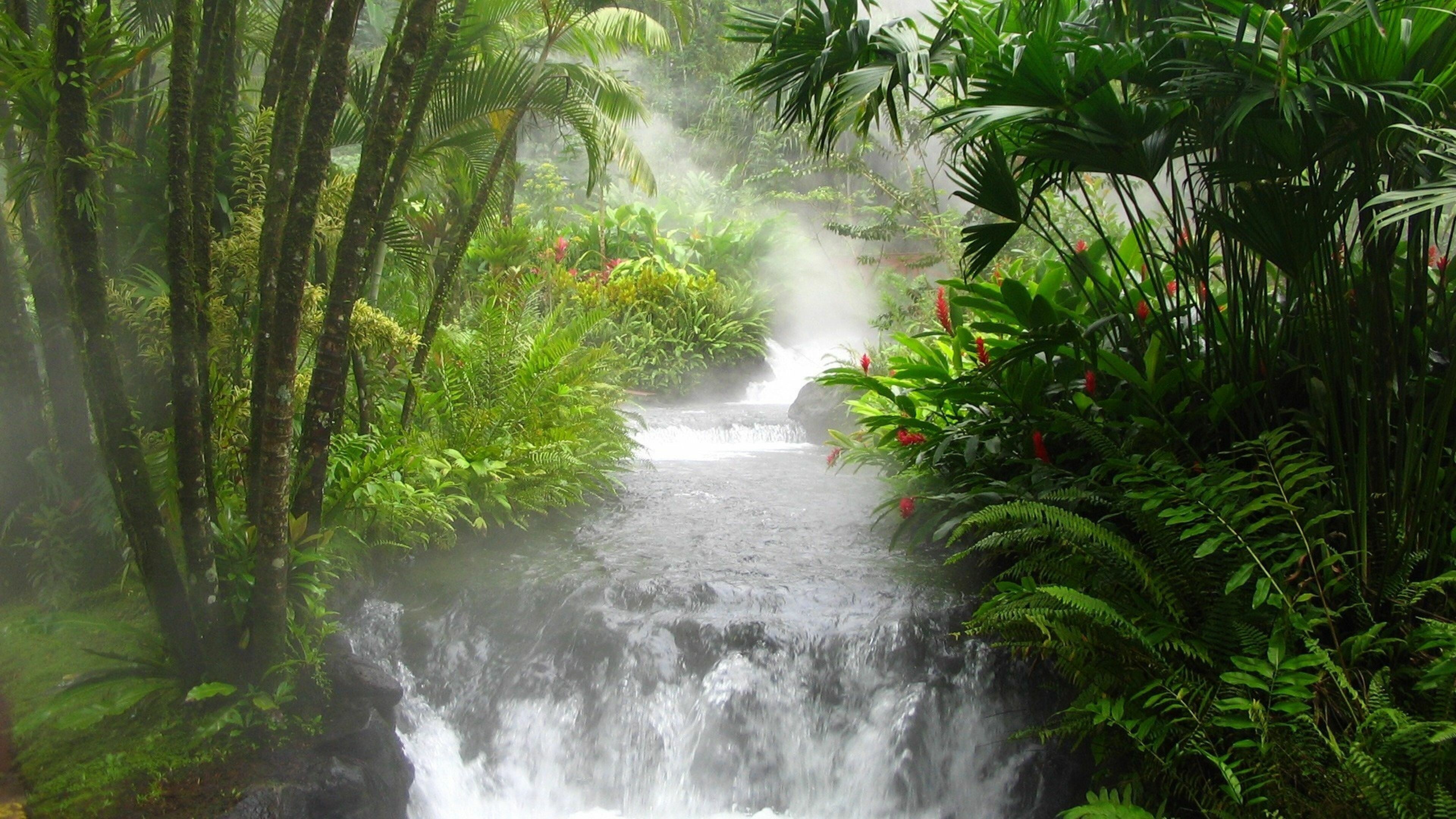 Jungle river falls, Vibrant vegetation, Beautiful flora, Cascading water, 3840x2160 4K Desktop