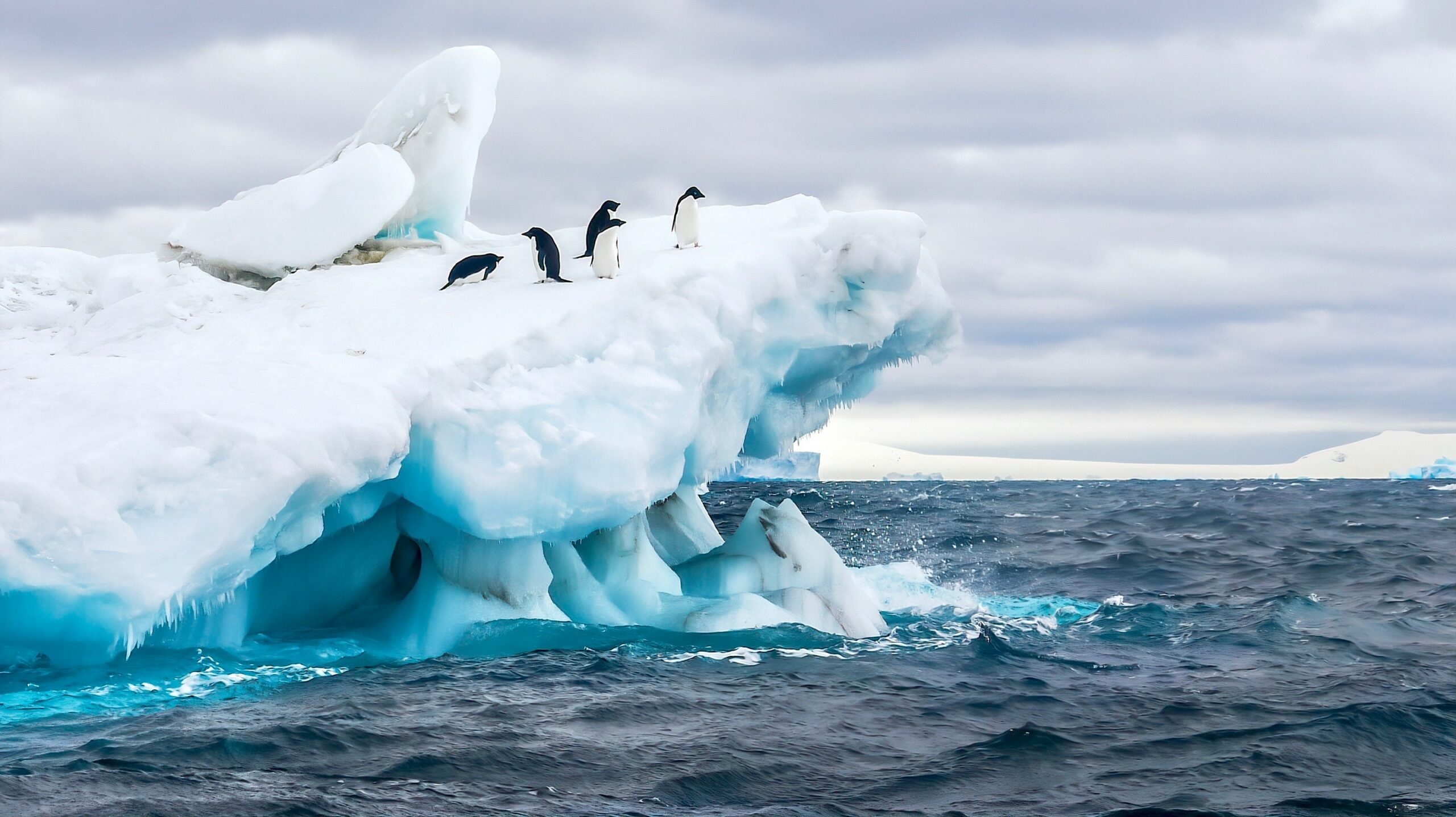 Southern Ocean, Vast sea expanse, Rich marine life, Carbon sink, 2560x1440 HD Desktop