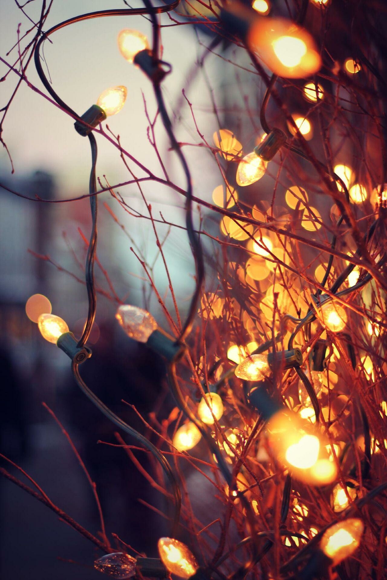 Fairy Lights, Autumn scenery, Enchanting glow, Cozy nights, 1280x1920 HD Phone