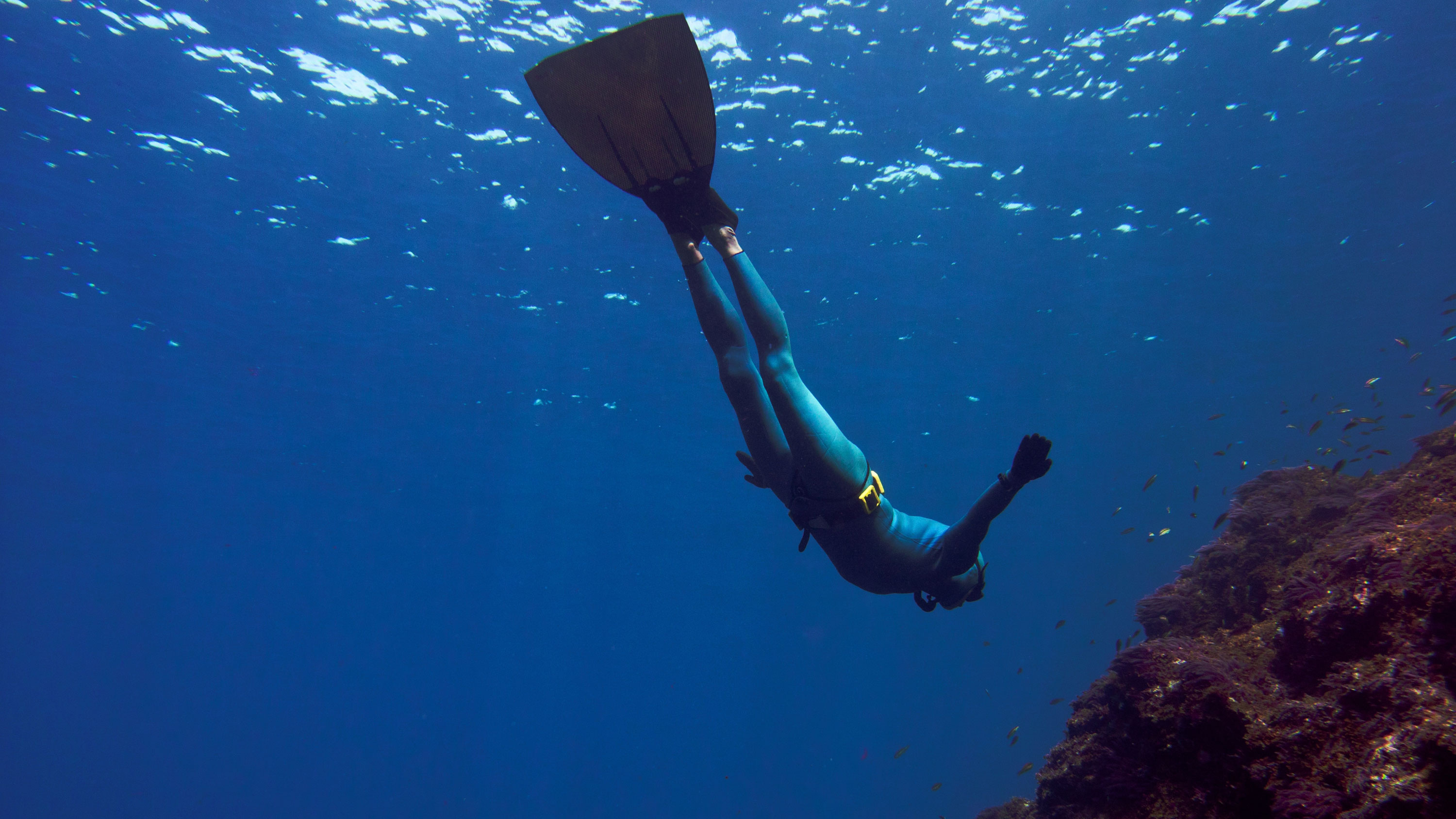 Freediving, Sports,Freediving El Hierro,Karsten Mohr, 3000x1690 HD Desktop