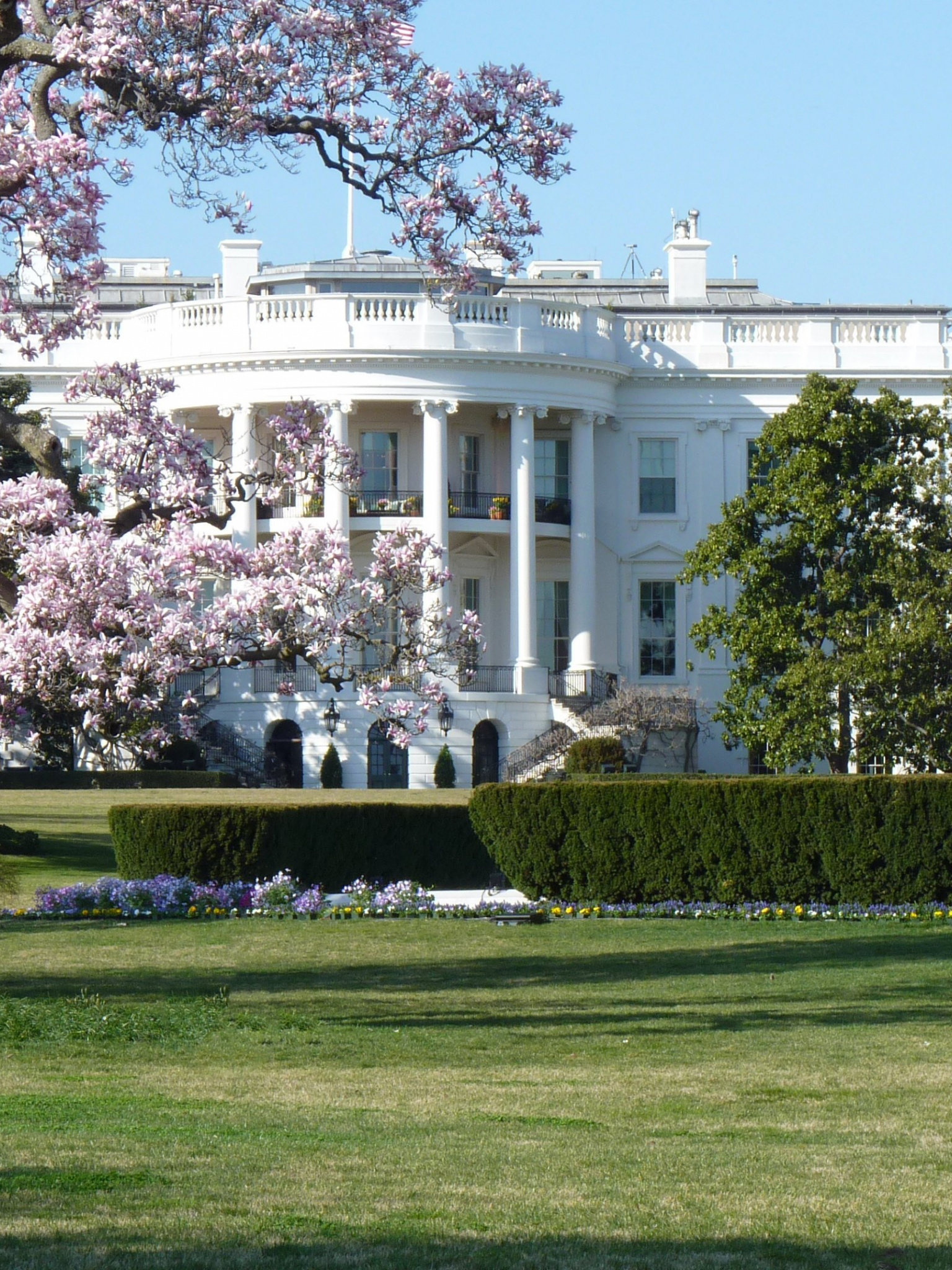 White House, Travels, Ultra HD, Background, 1540x2050 HD Phone