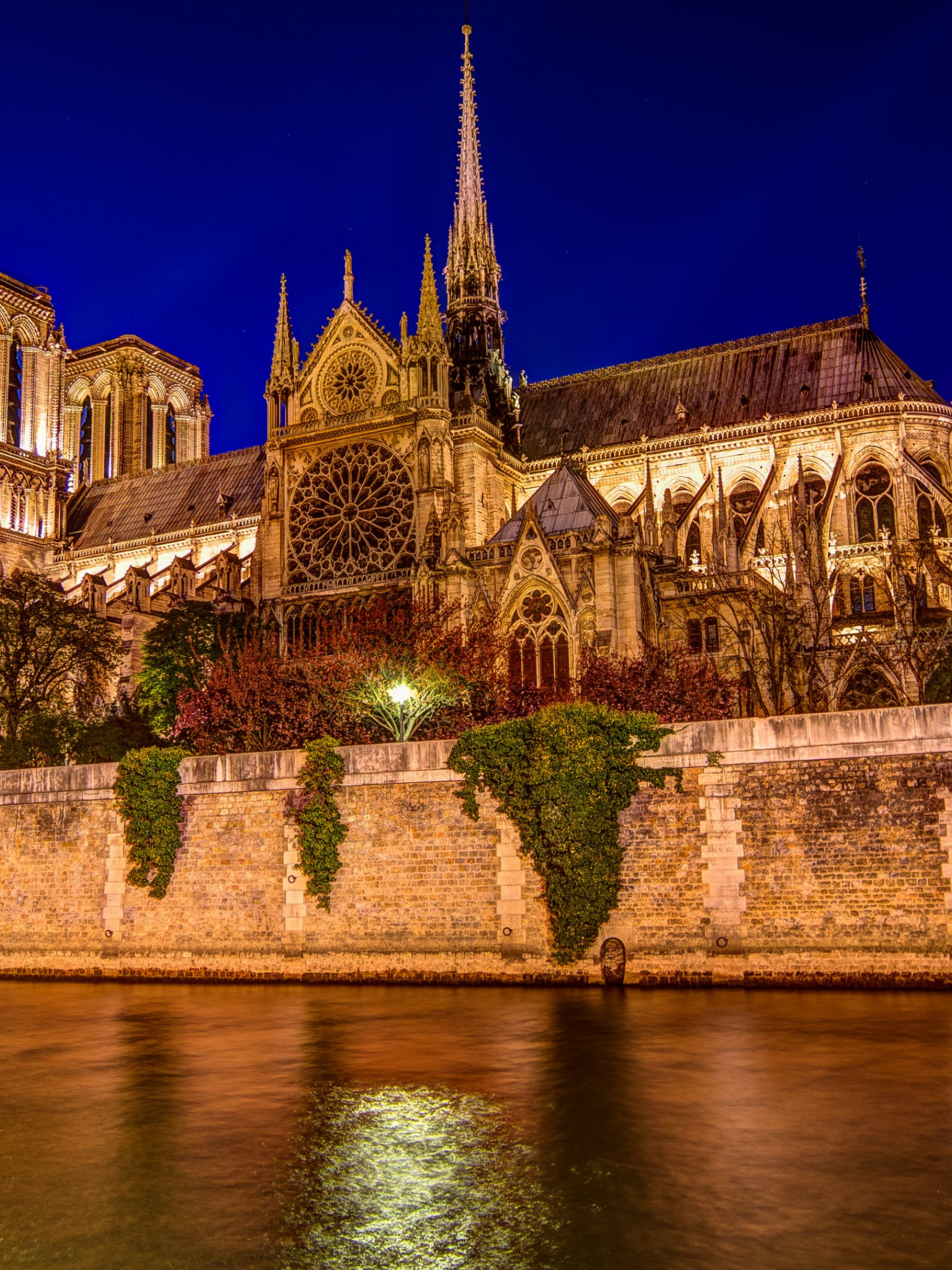 Notre-Dame Cathedral, Travels, HD wallpaper, Parisian beauty, 1540x2050 HD Phone