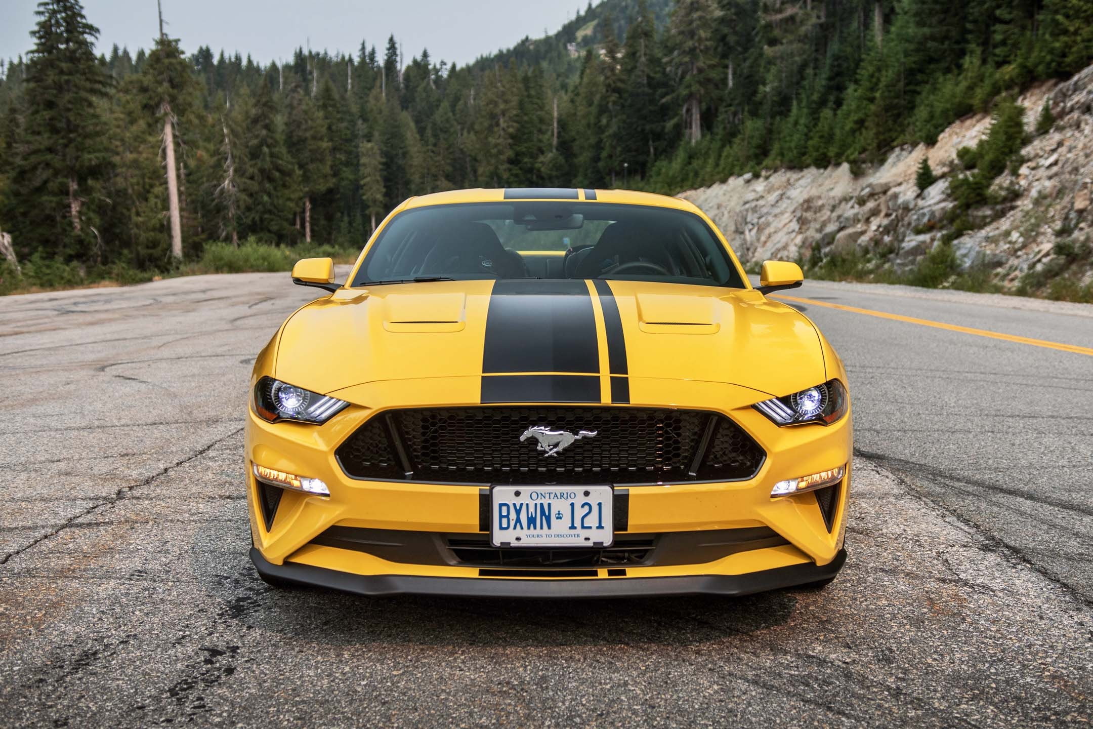 Yellow Ford Mustang GT, Black racing stripes, Pine forest mountain road, HD Desktop wallpaper